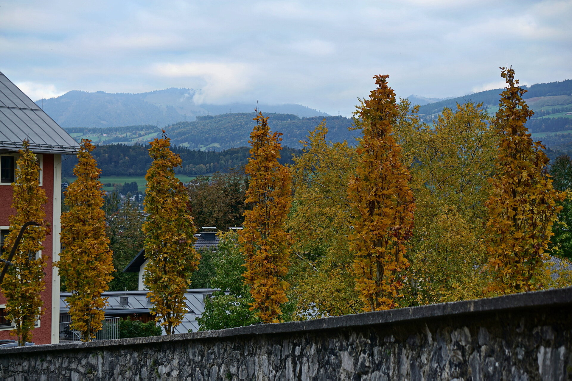 2025-10-11 17-08-54_Bildgröße ändern.JPG