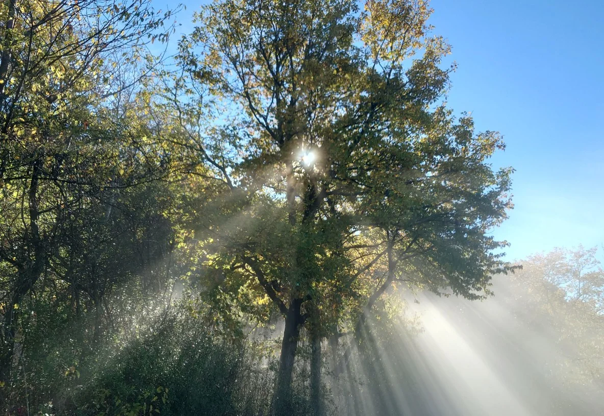 2025-11-08_013513.webp