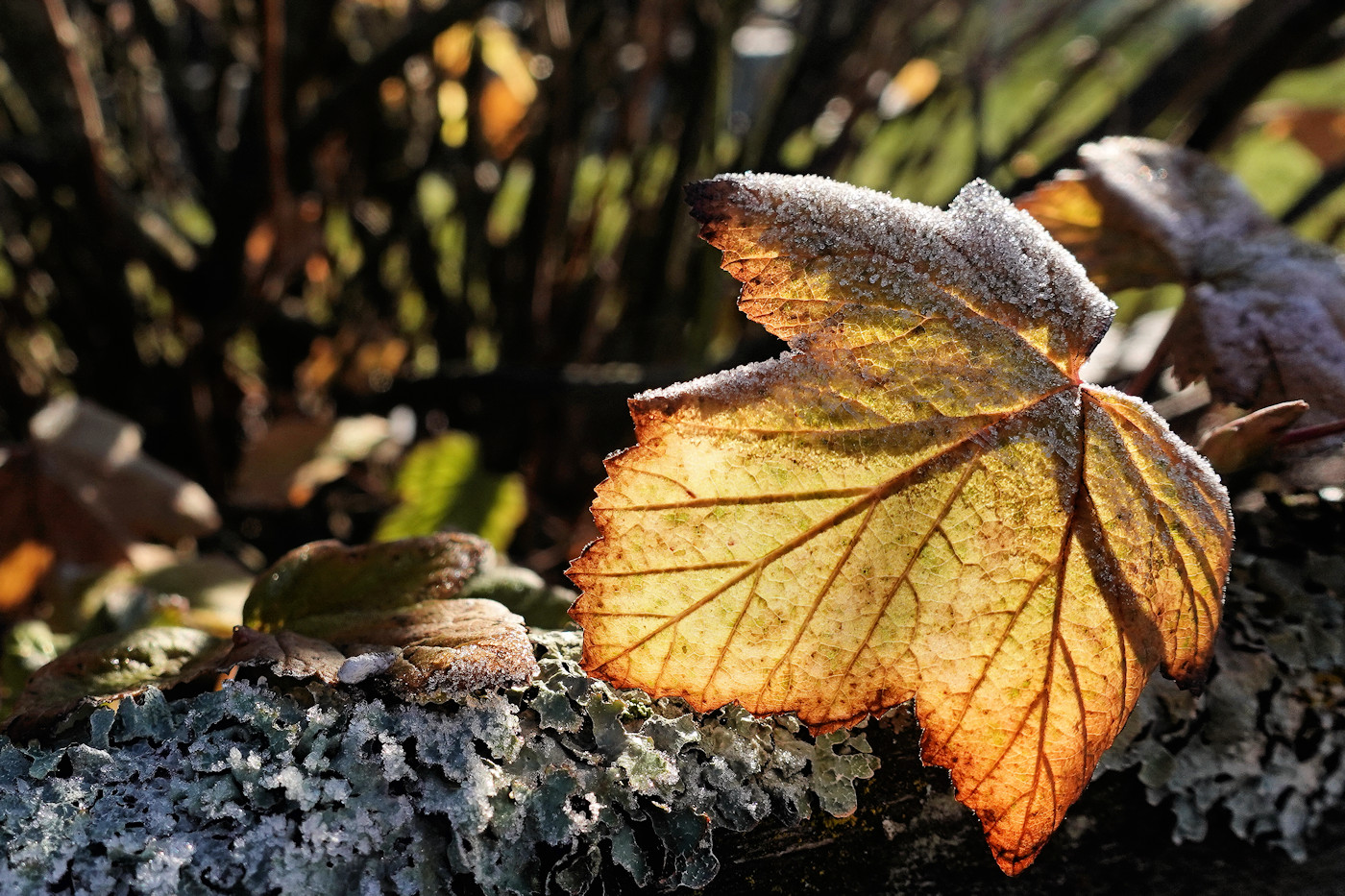 2025-11-22-14-04-06 (01,1400).jpg