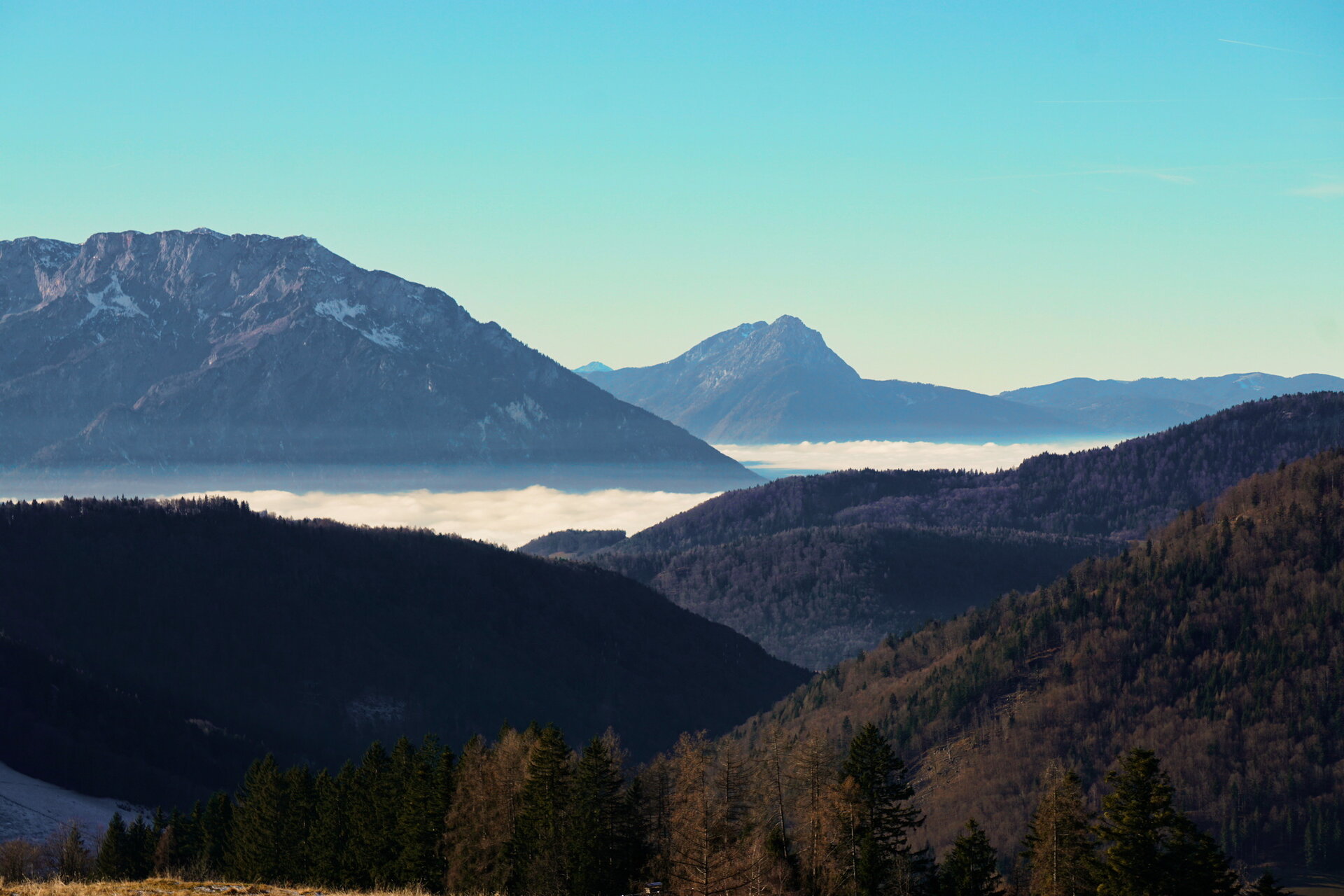 2025-12-29 13-37-08.JPG