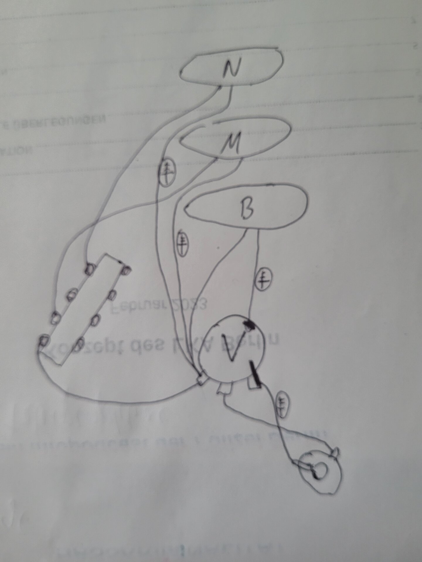 20250116_143354.jpg