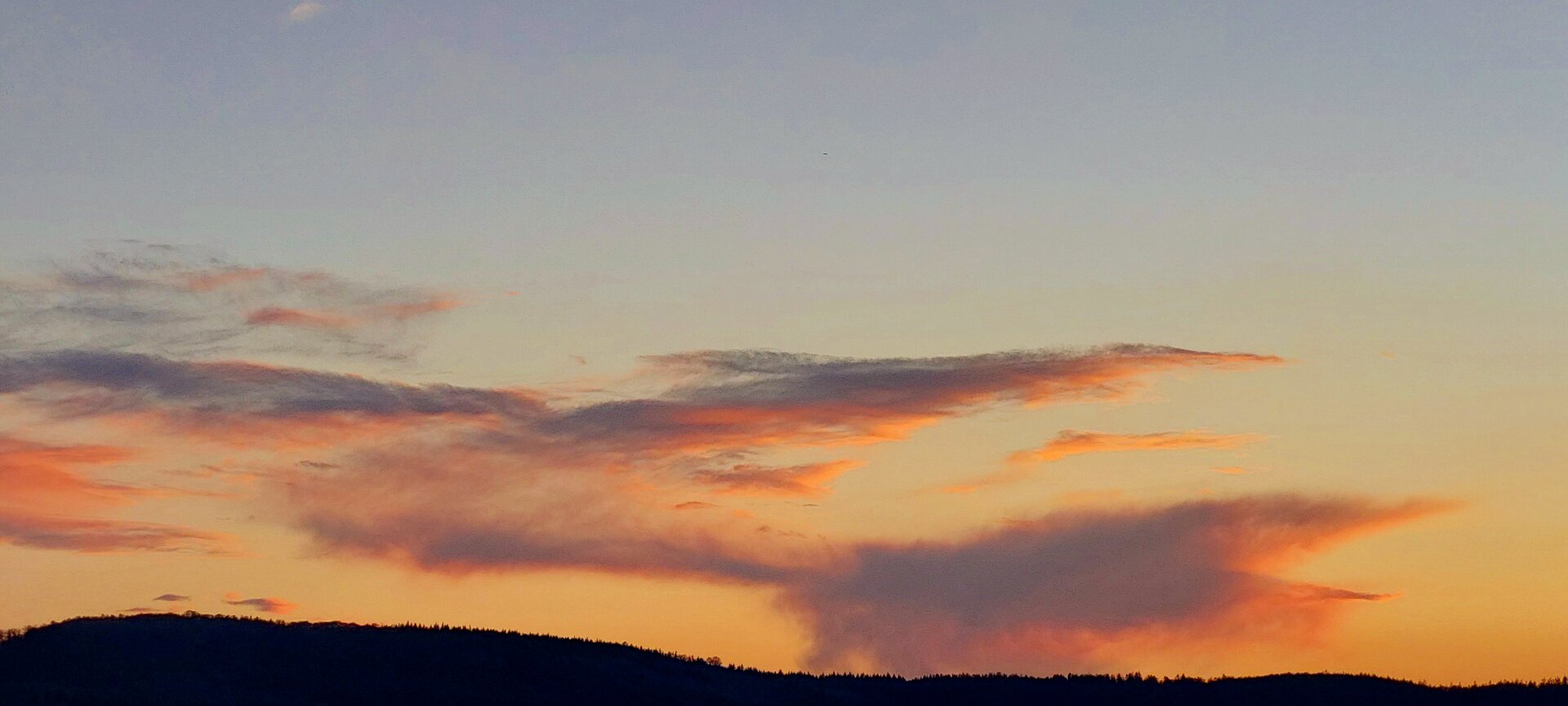 20250227_175933.jpg