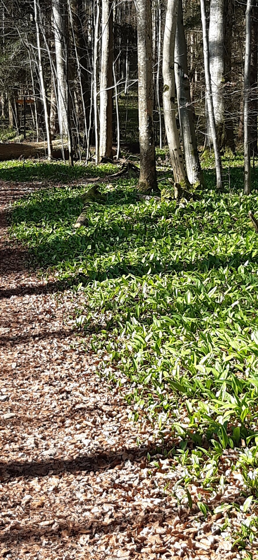 20250307_111708.jpg
