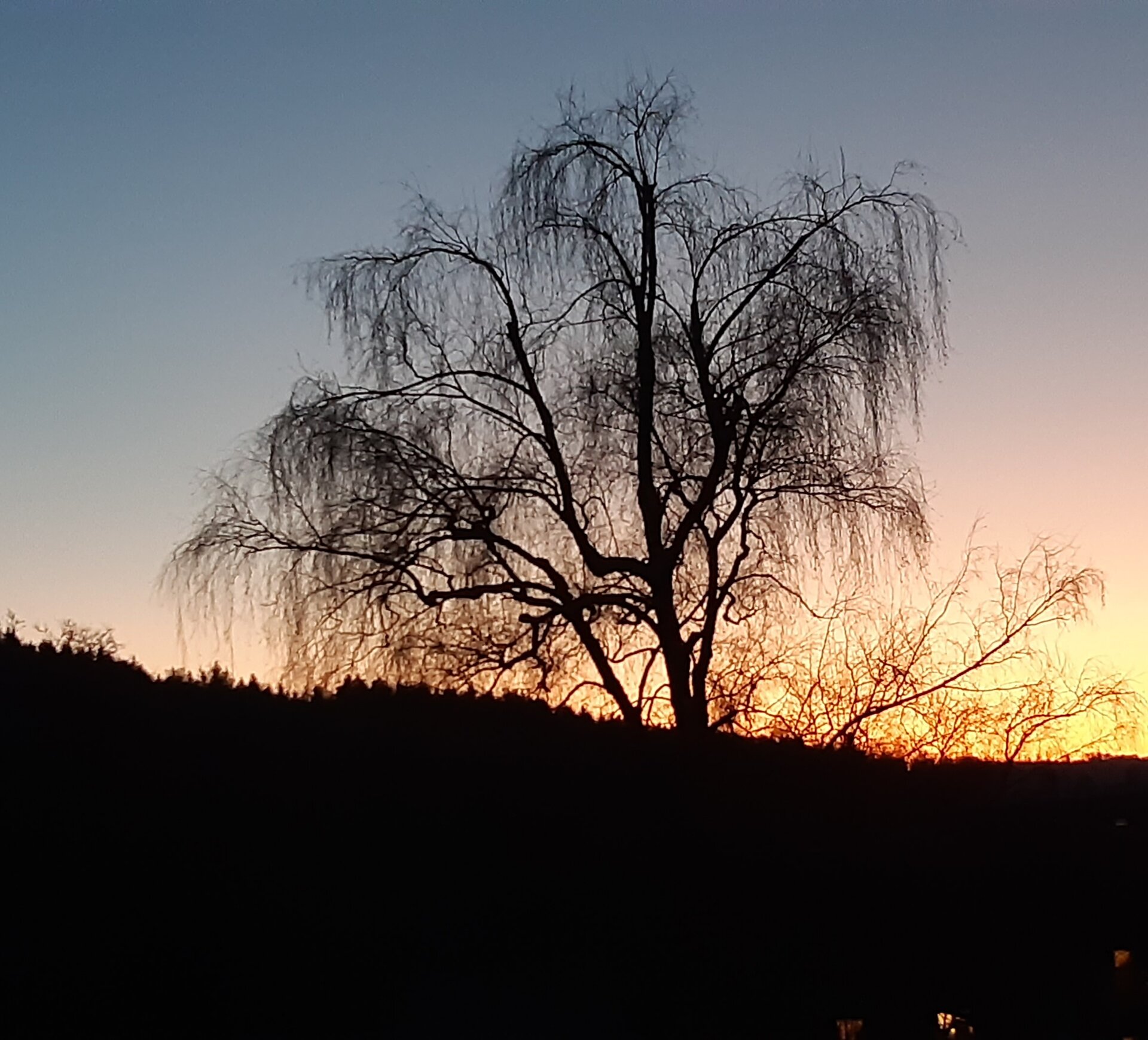 20250318_190444.jpg