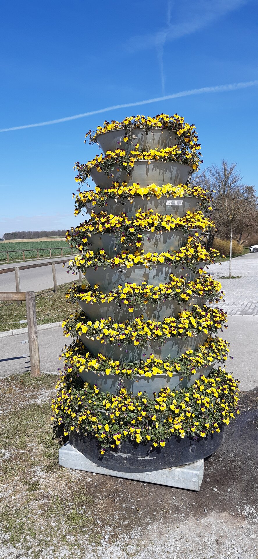 20250320_115336.jpg