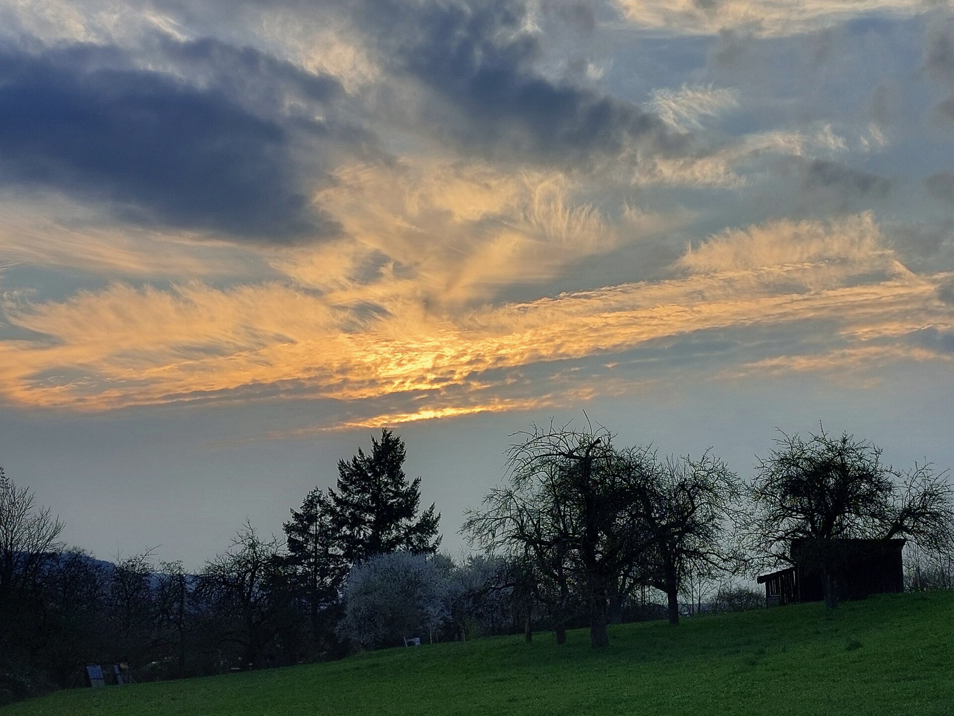 20250325_180116.jpg