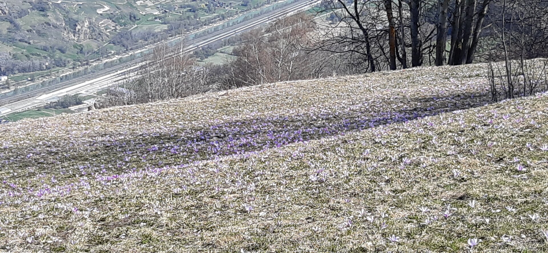 20250401_121946.jpg