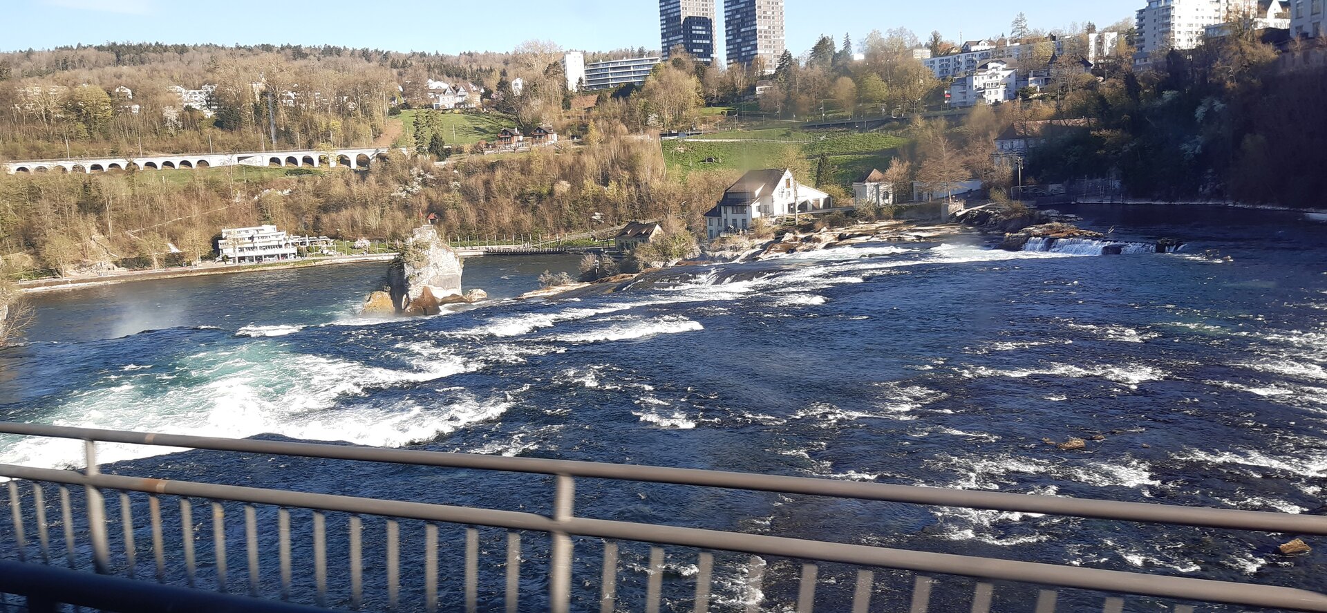 20250405_090805.jpg