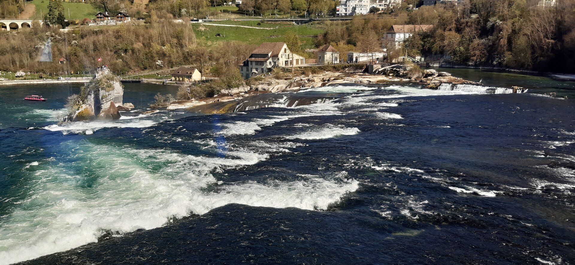 20250407_105153.jpg