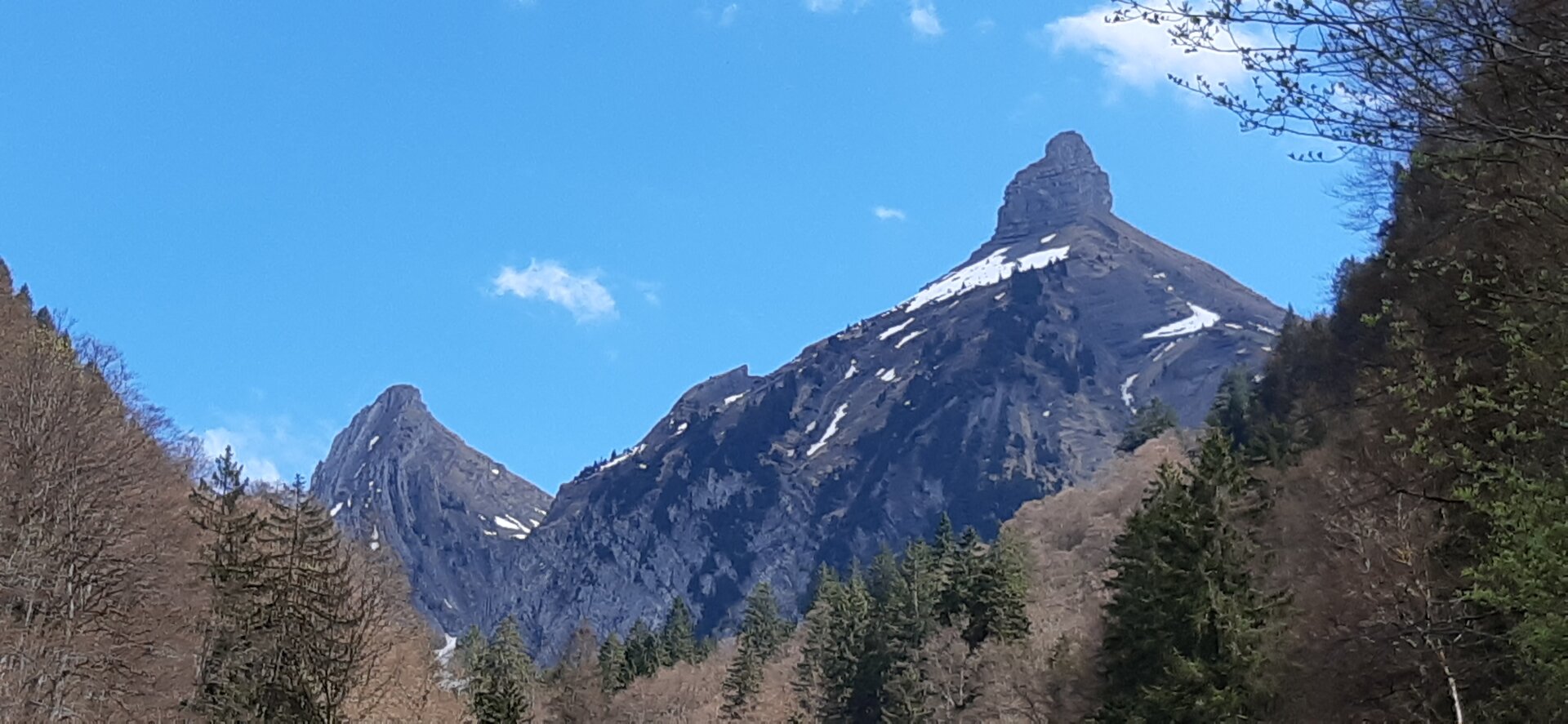 20250421_133835.jpg
