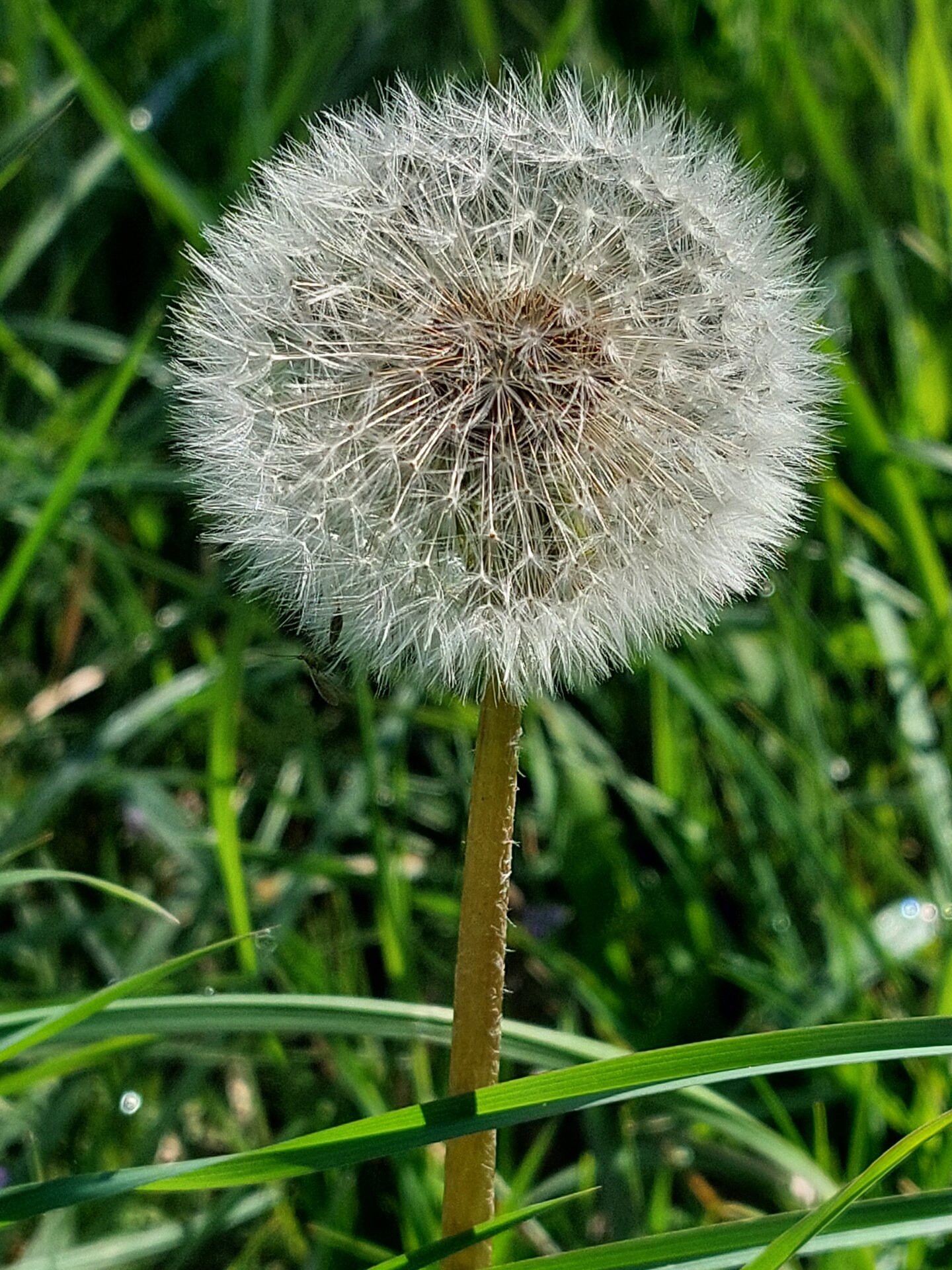 20250423_103612.jpg