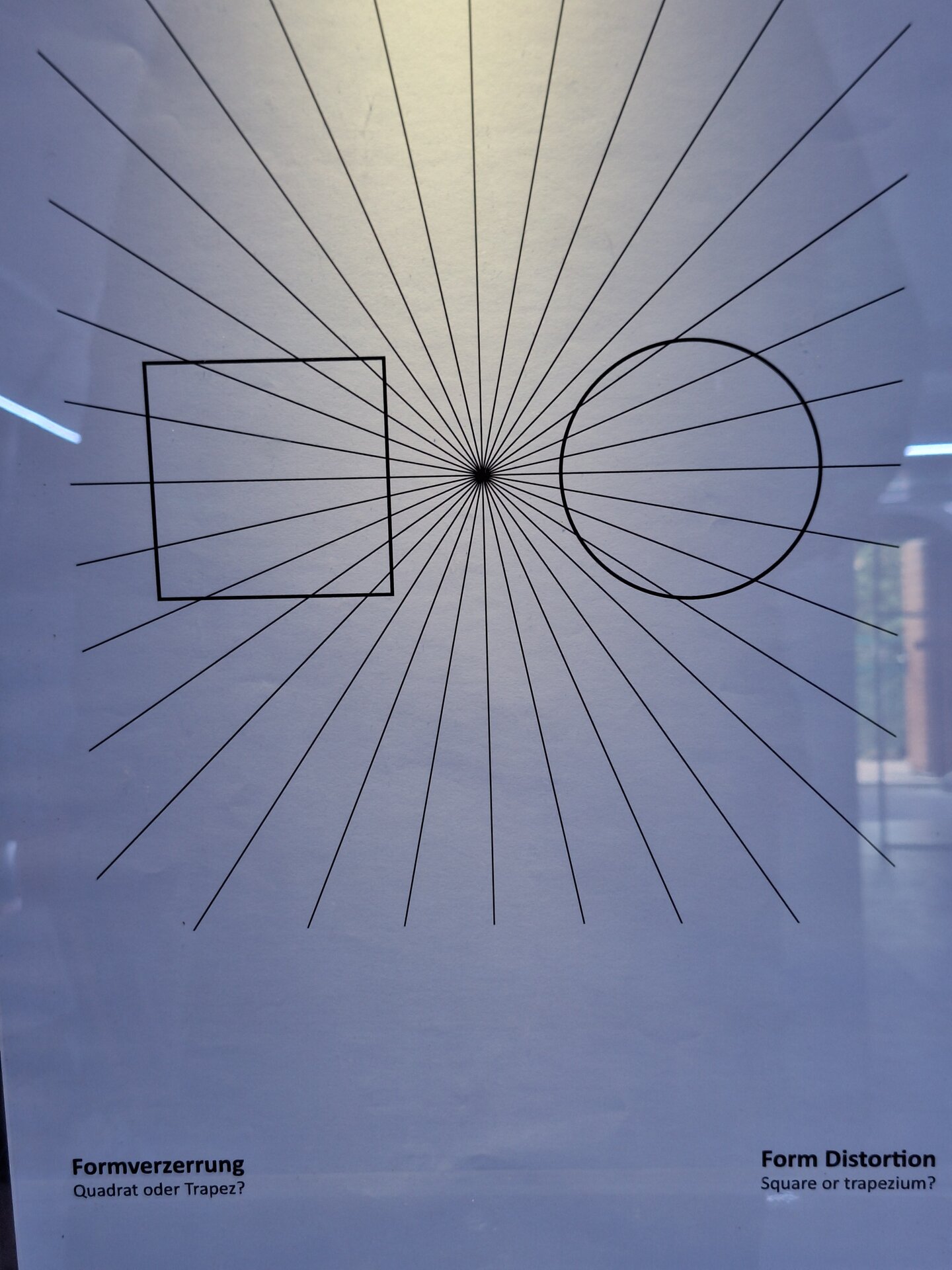 20250423_132436.jpg