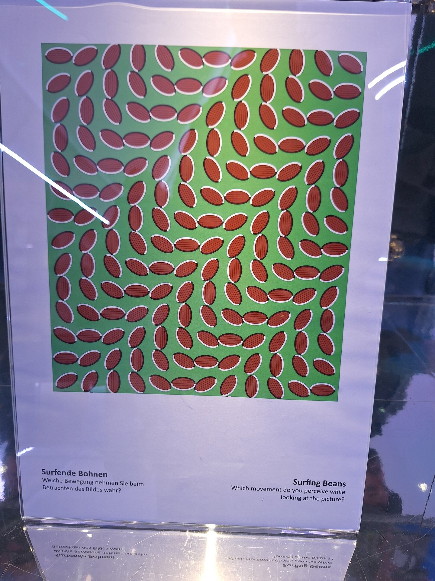 20250423_132504.jpg