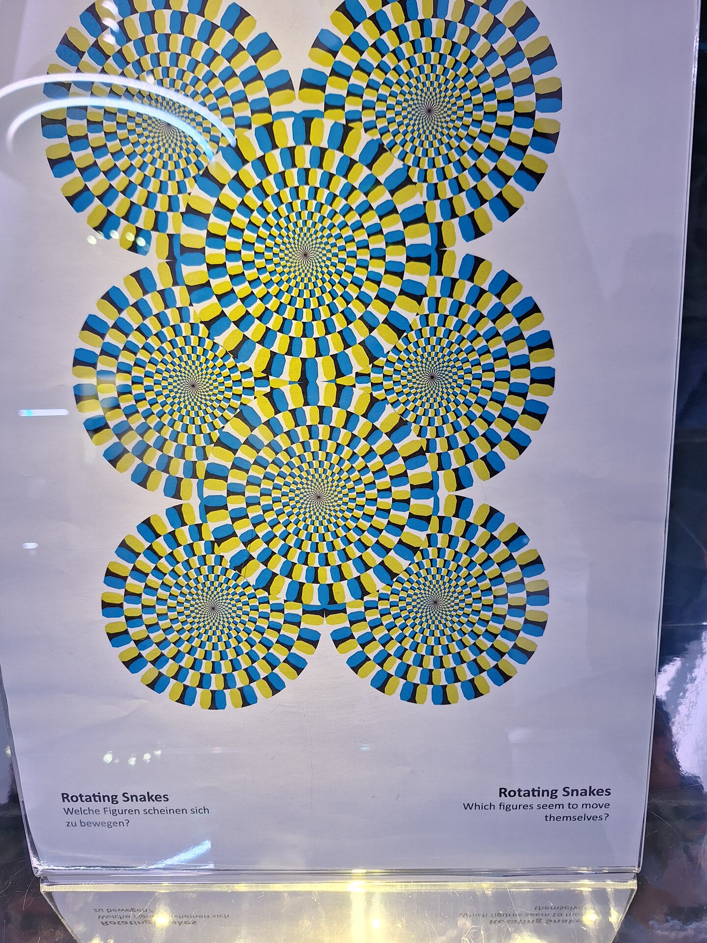 20250423_132525.jpg