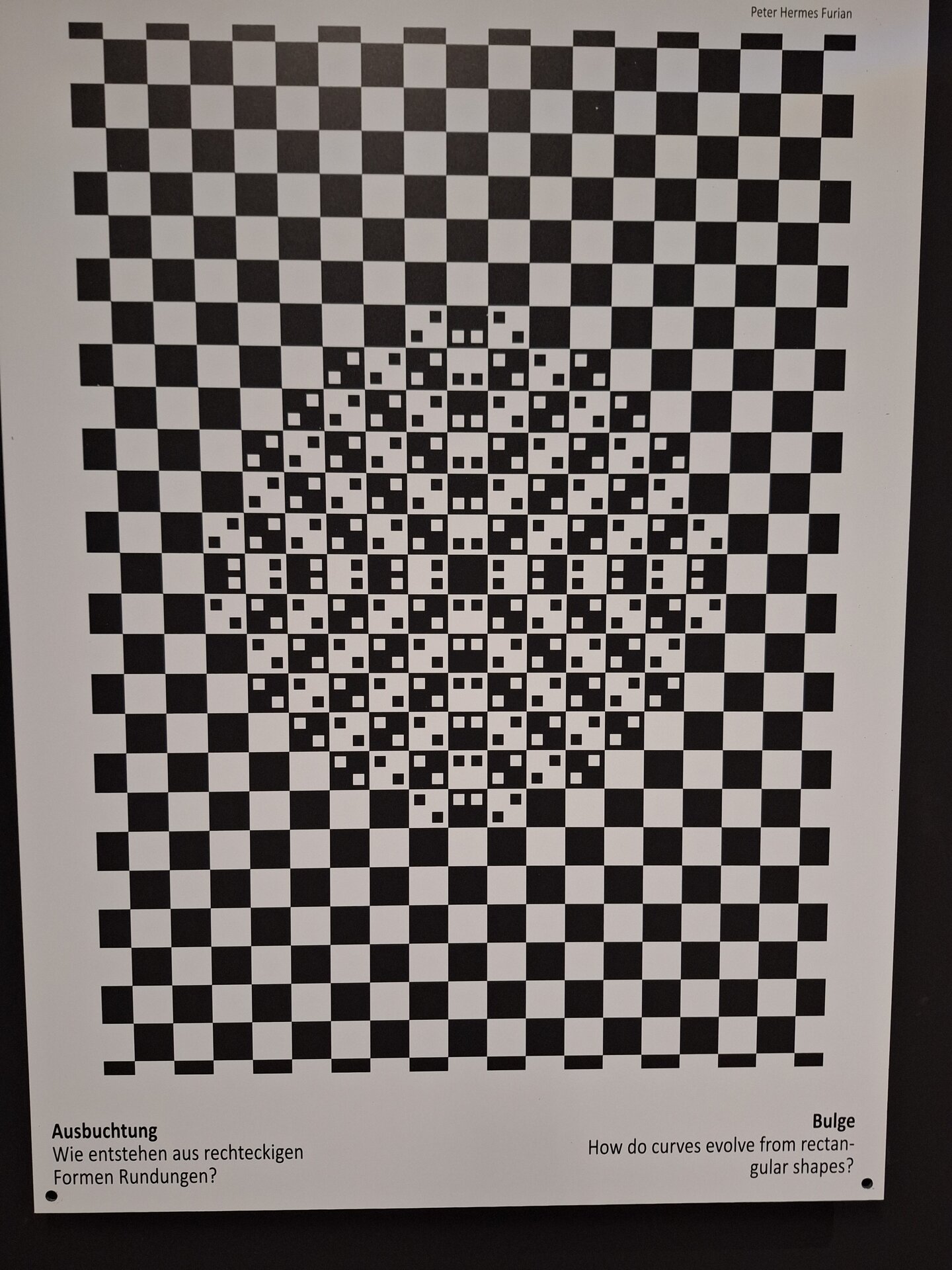 20250423_141321.jpg