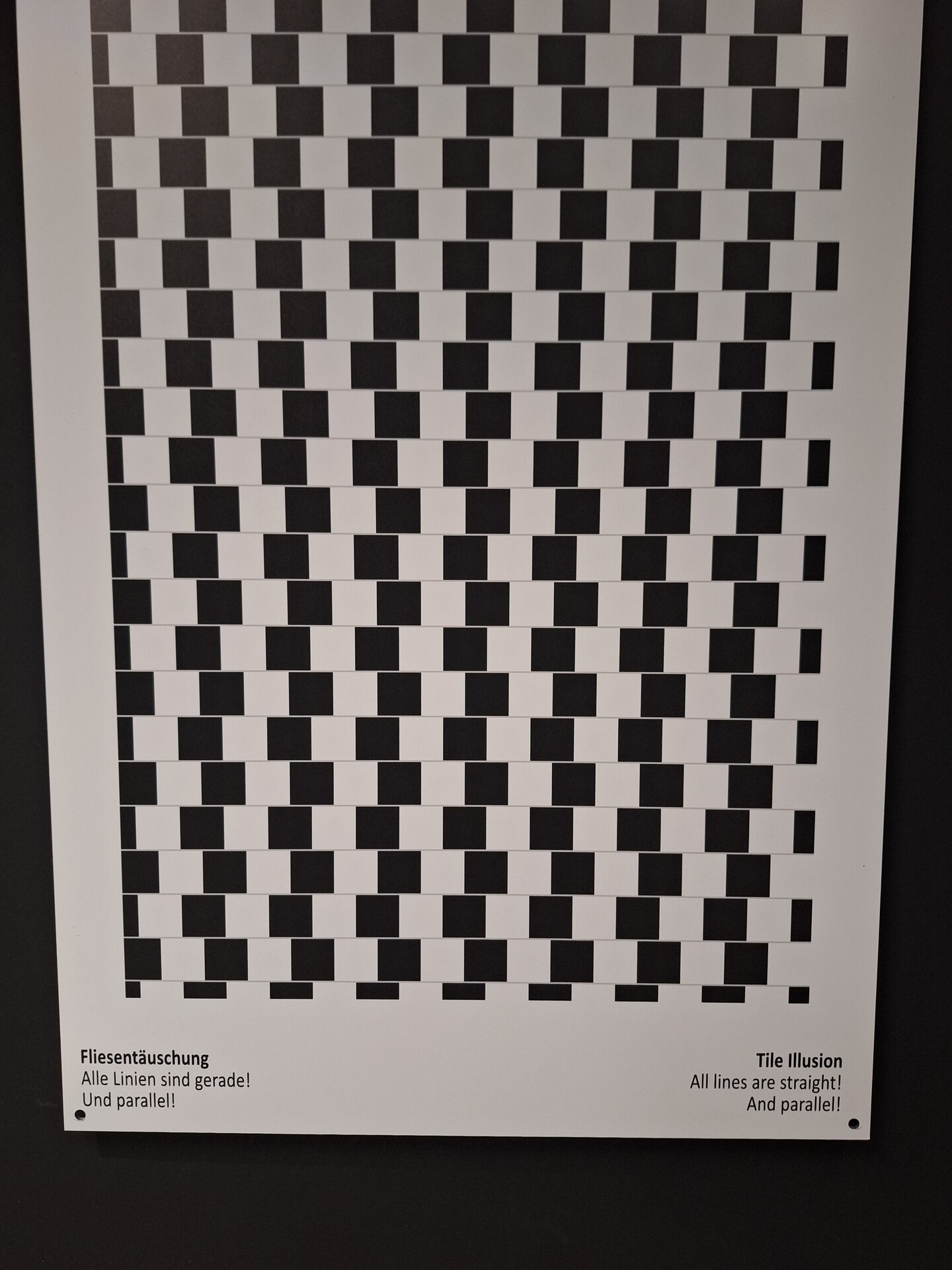 20250423_141329.jpg