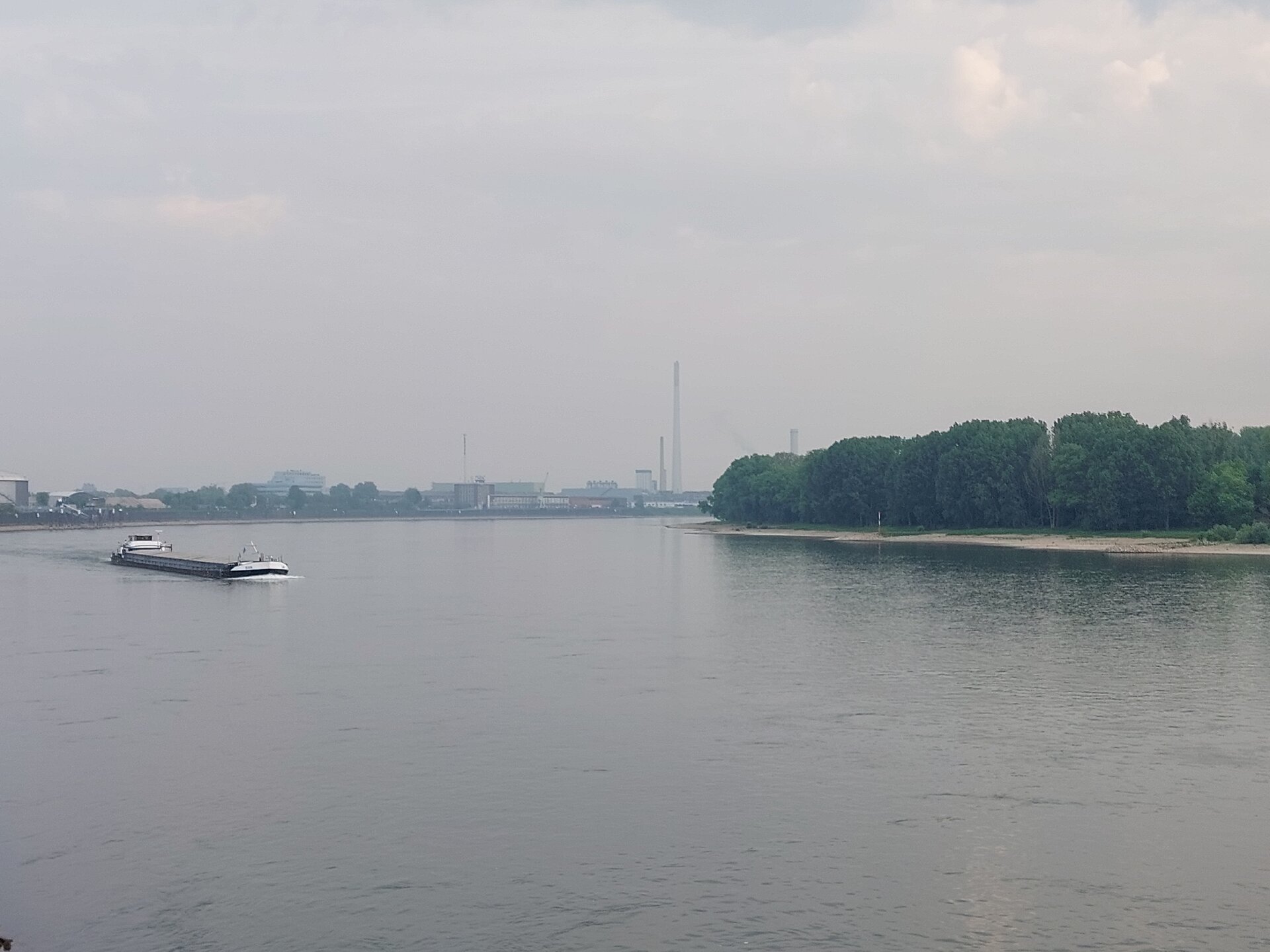 20250503_080706.jpg