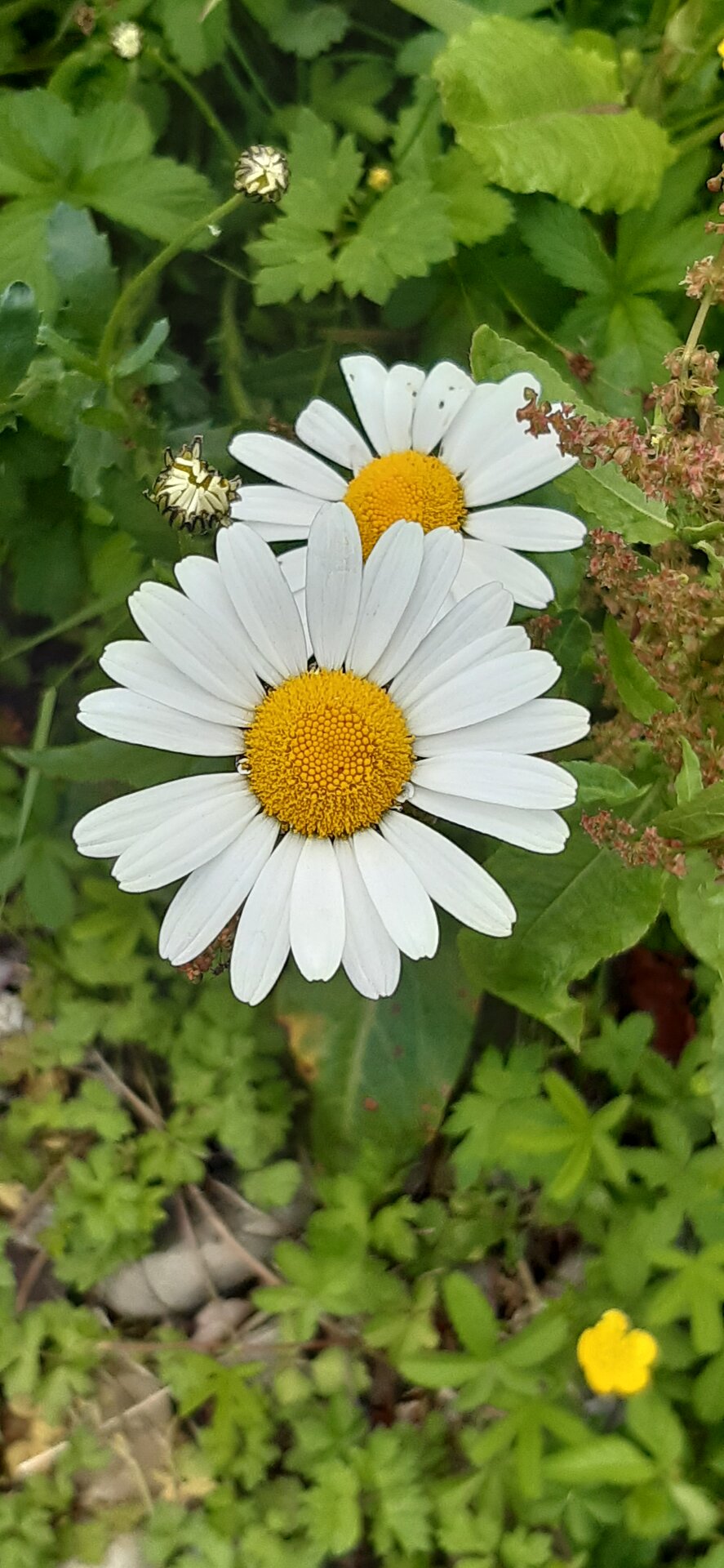 20250507_124941.jpg