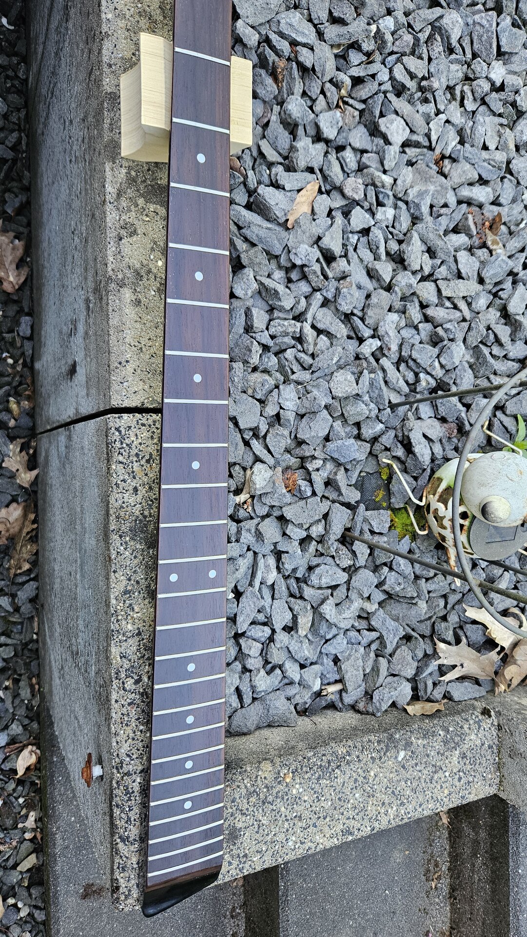 20250512_074839.jpg