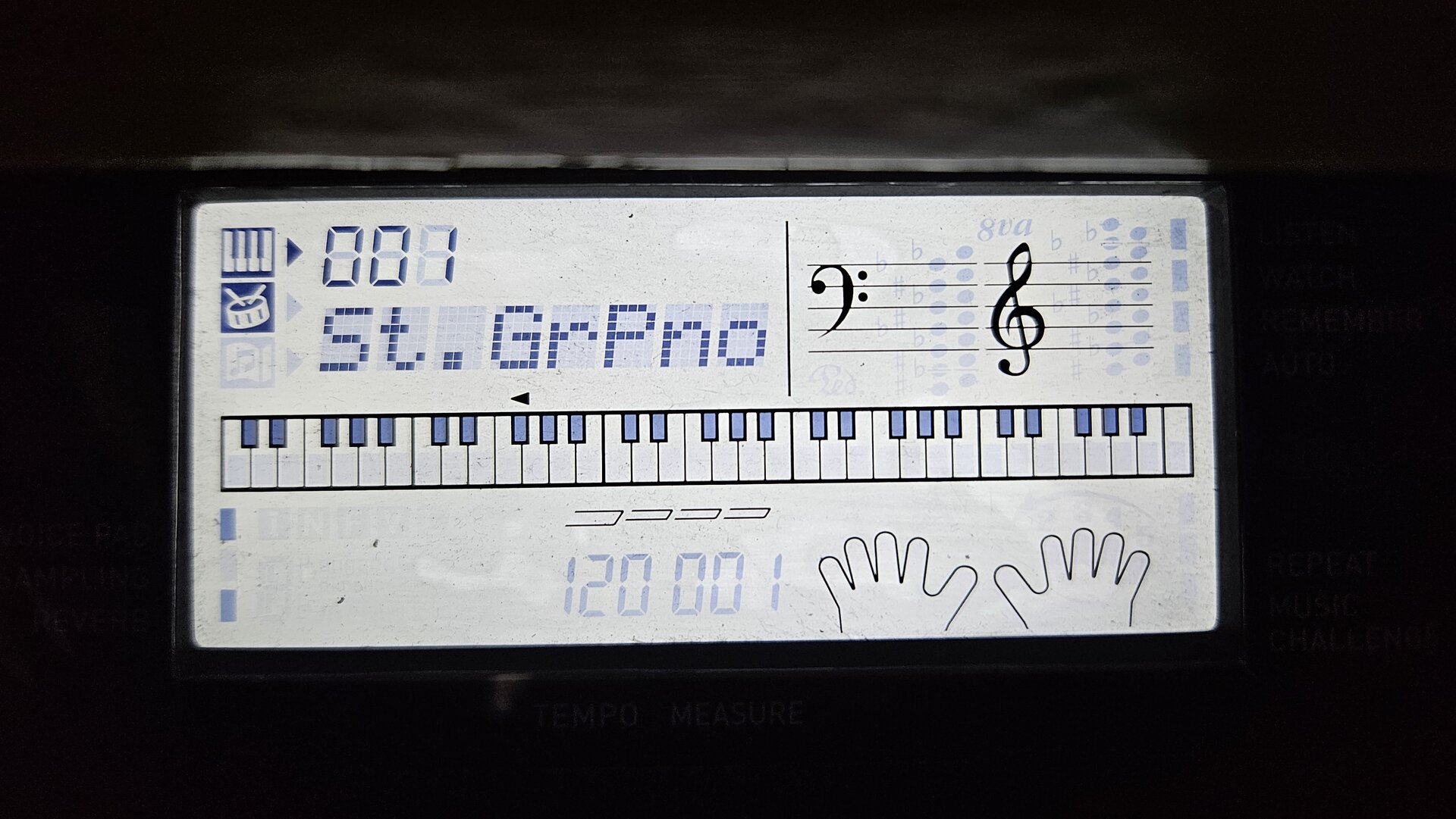 20250521_124628.jpg