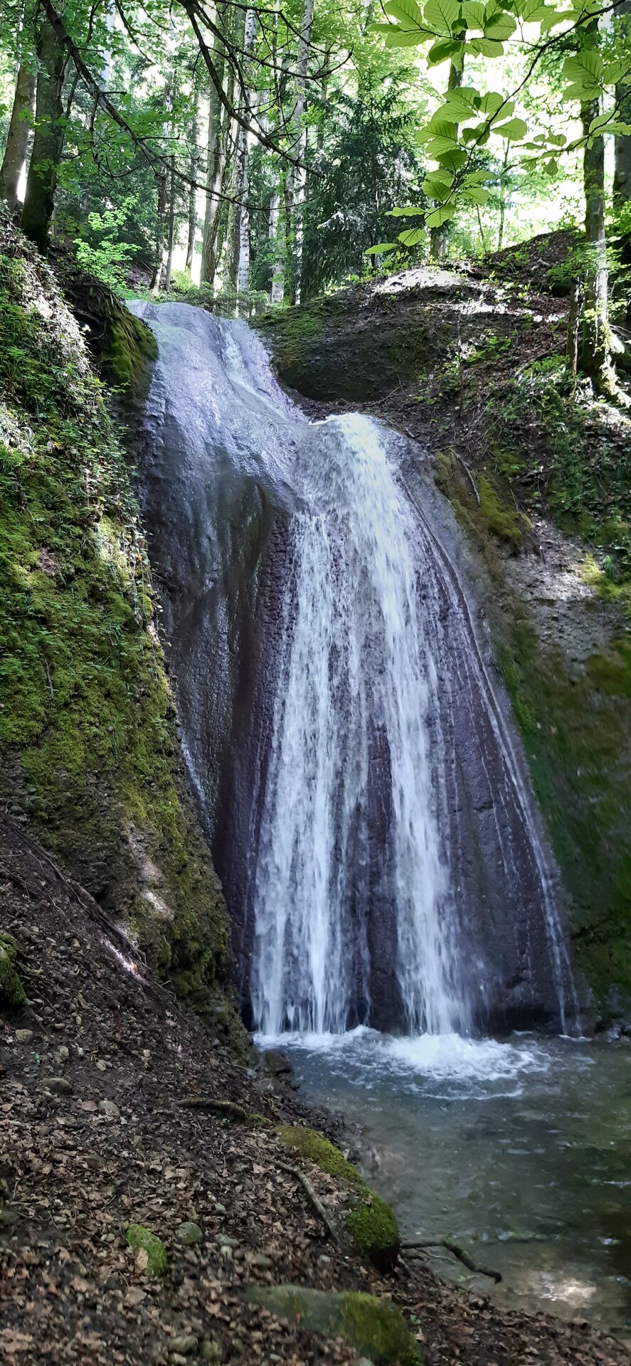 20250524_115411.jpg