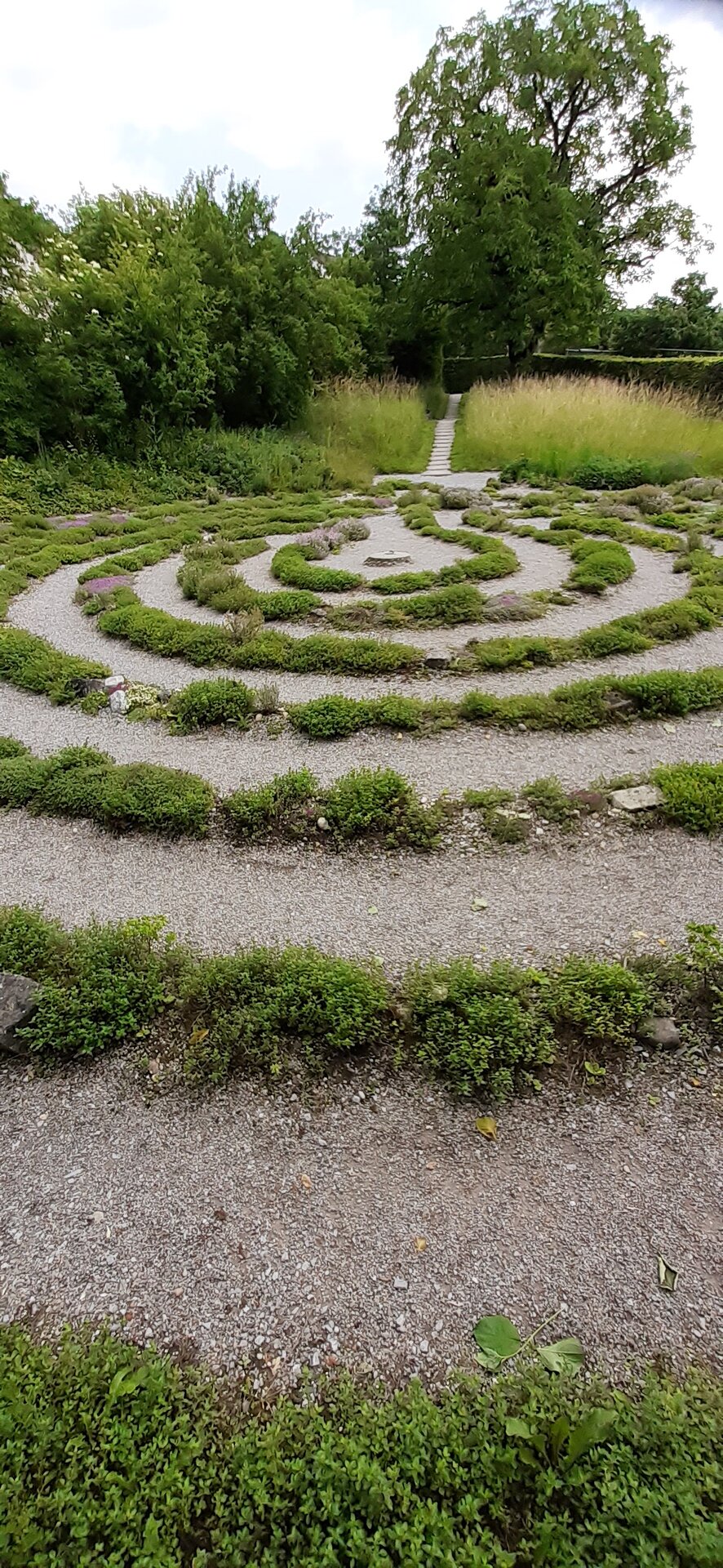 20250608_120144.jpg