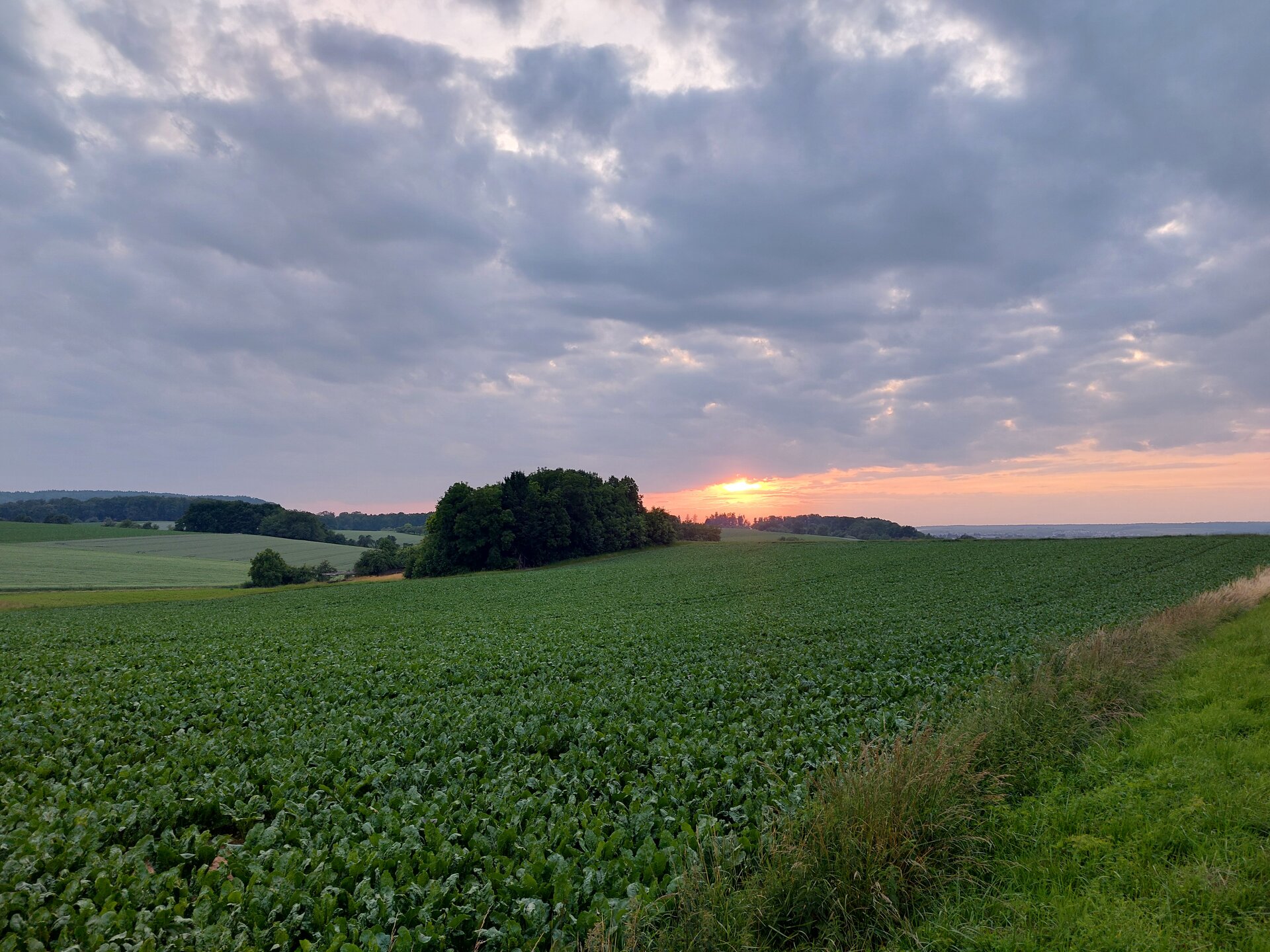 20250610_205945.jpg