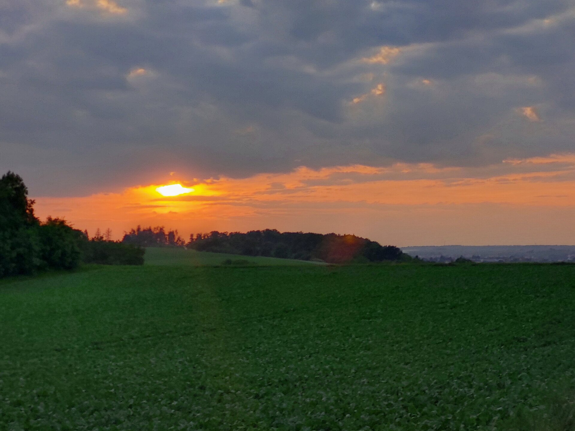 20250610_210001.jpg