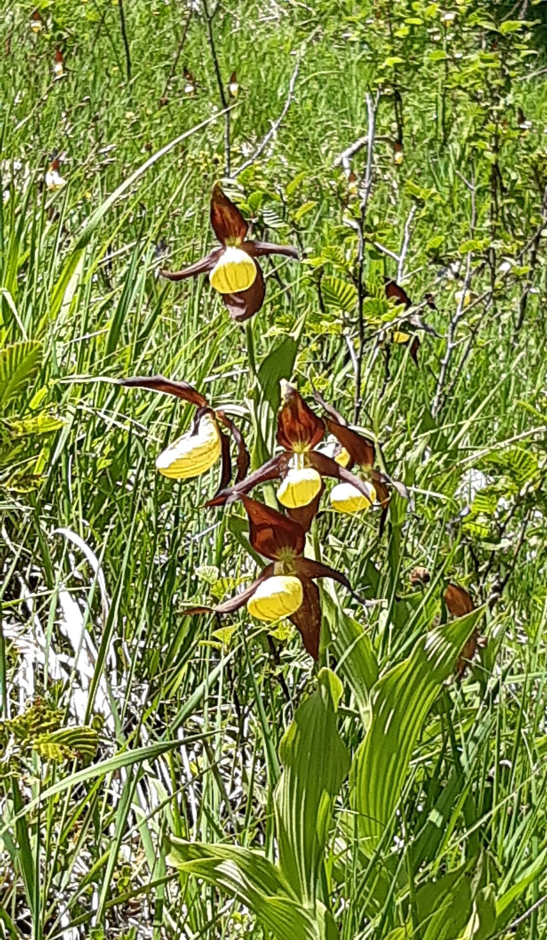 20250613_110419.jpg