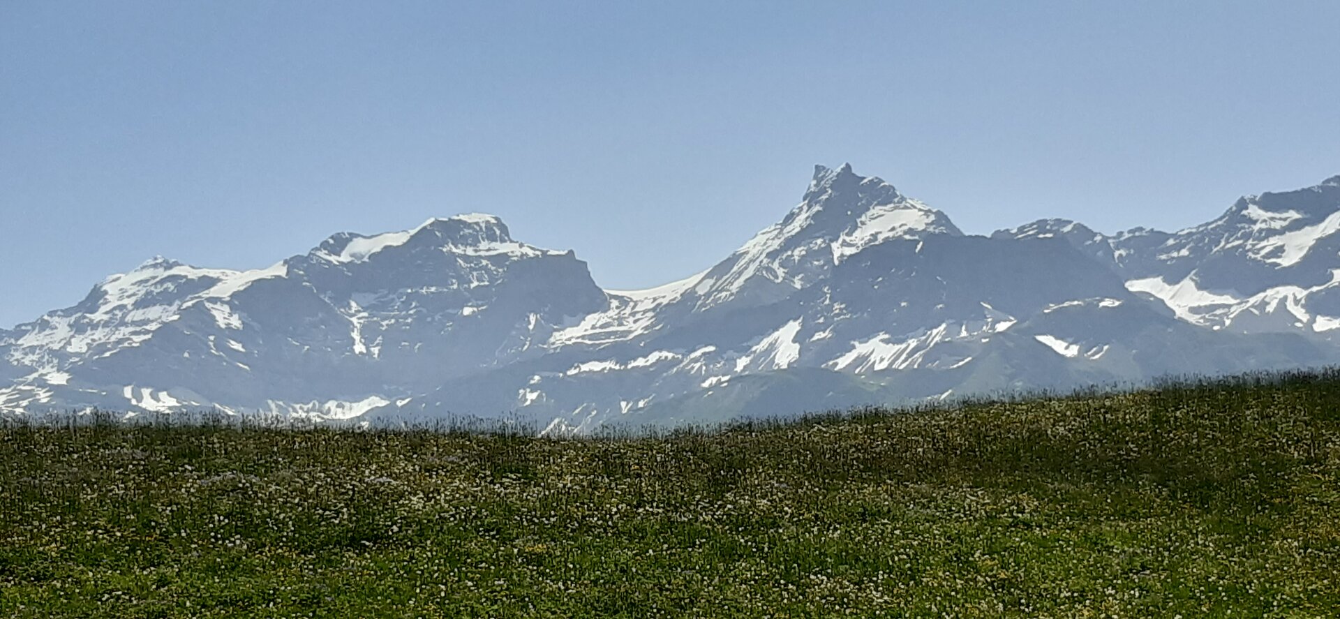 20250613_121258.jpg