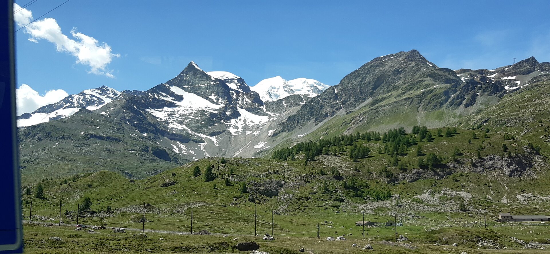 20250625_113430.jpg