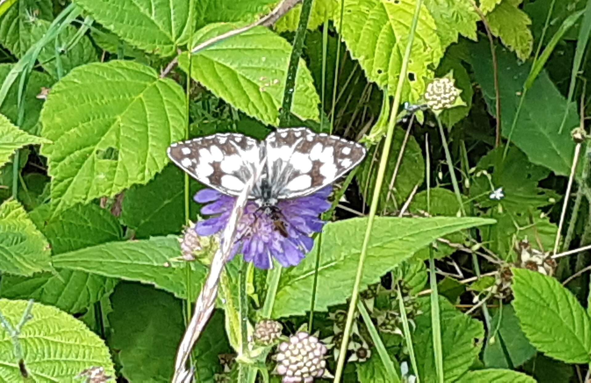 20250709_115104.jpg