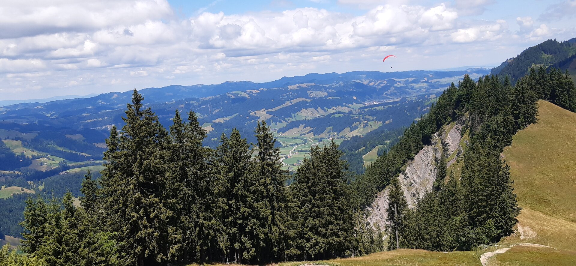 20250709_133624.jpg