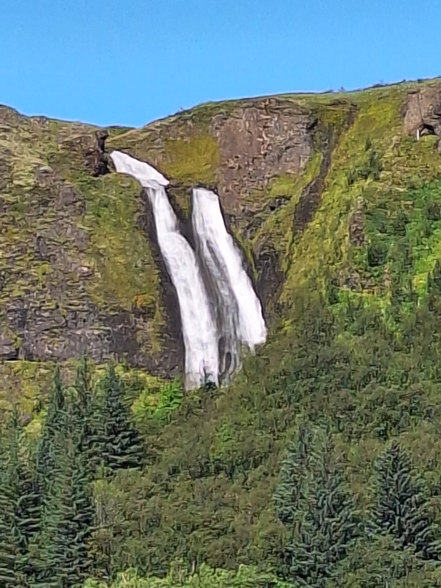 20250727_110523.jpg