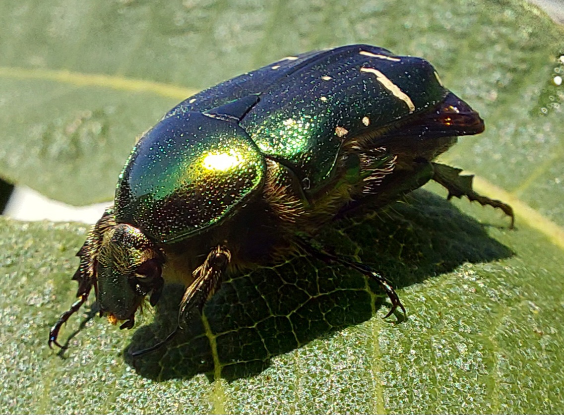 20250801_164156.jpg