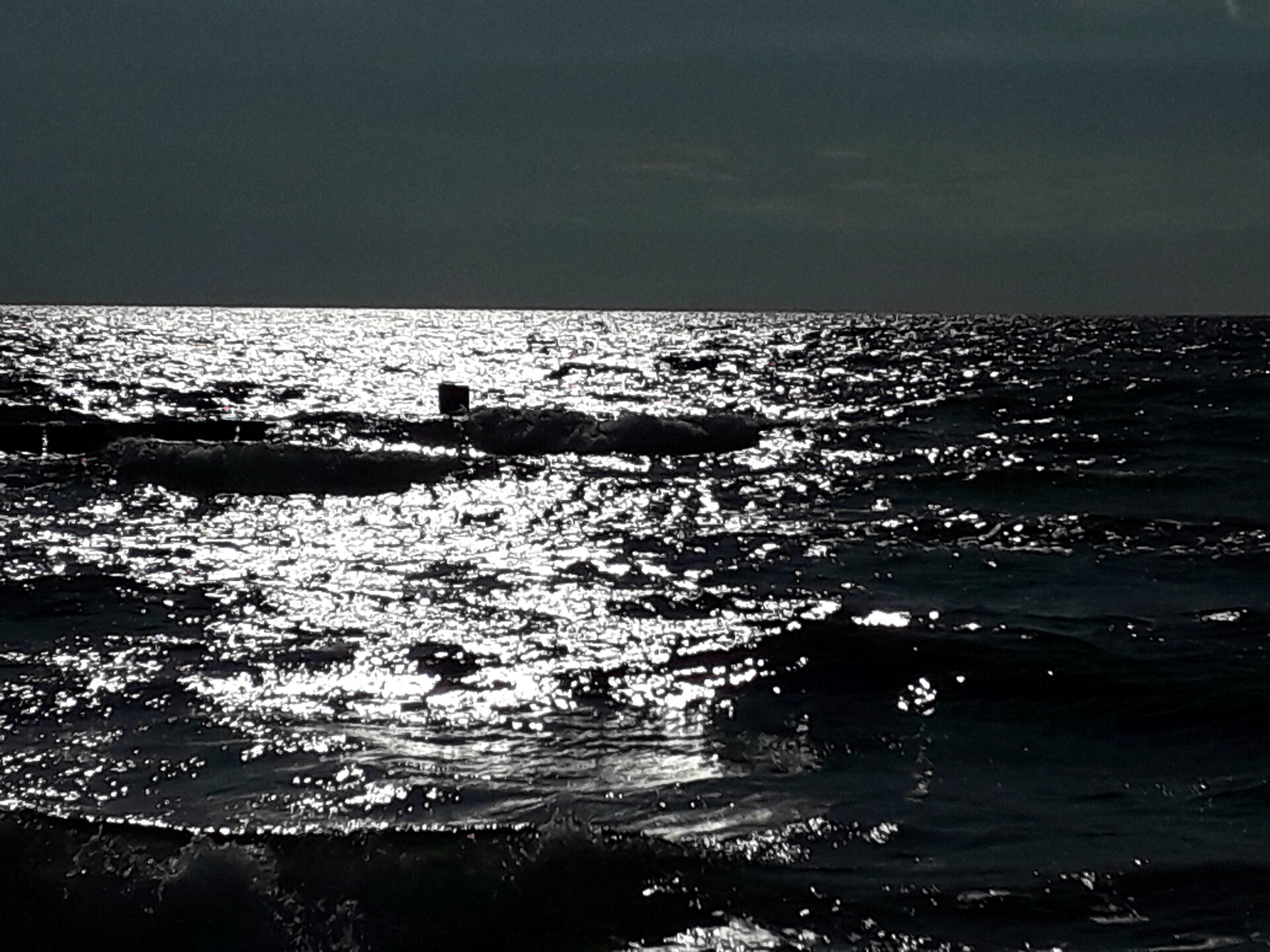 20250801_181214.jpg