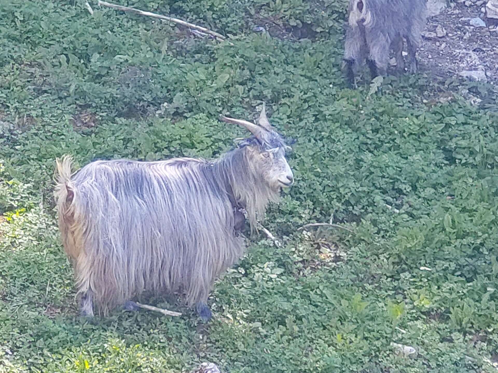 20250807_121251.jpg