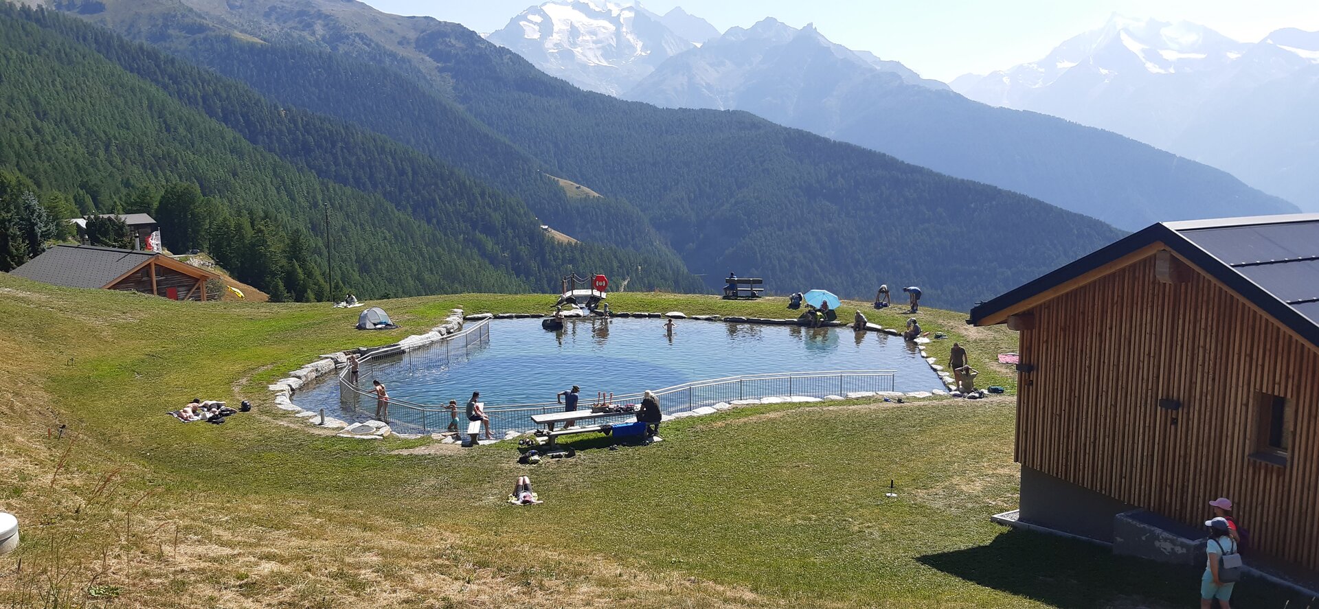 20250809_153936.jpg