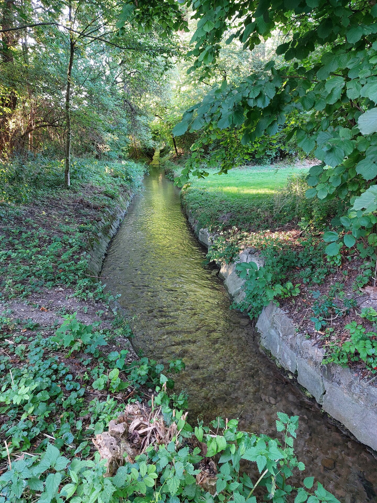 20250813_191109.jpg