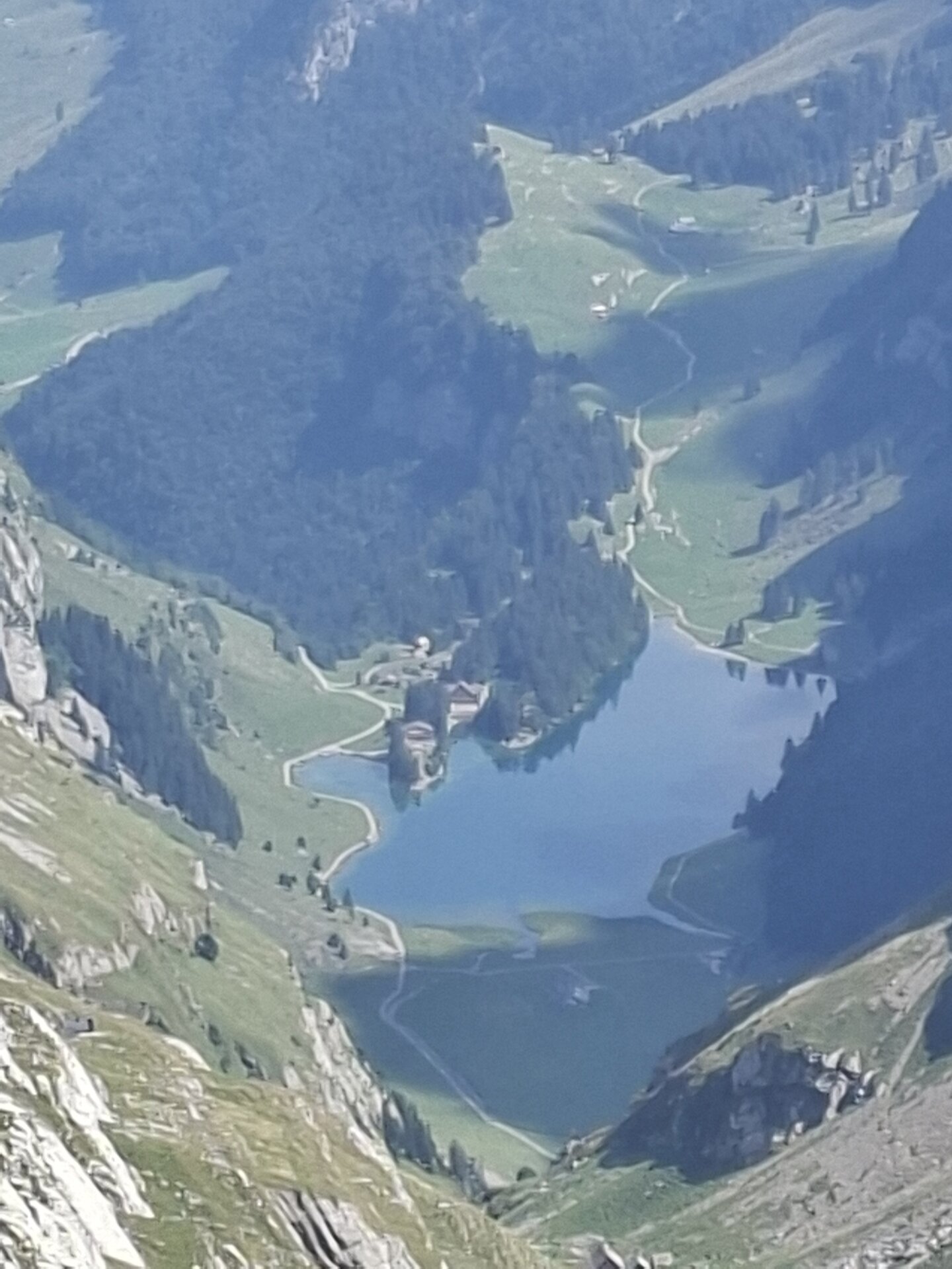 20250827_131120.jpg