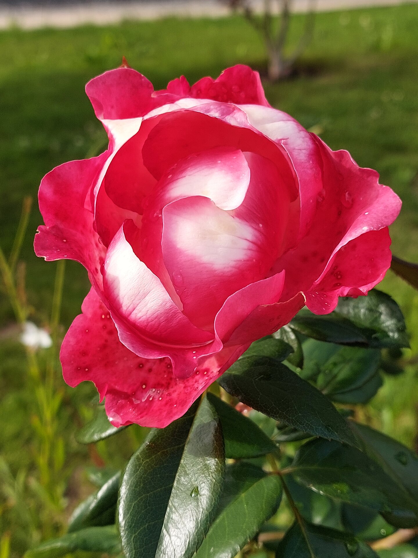 20250909_165322.jpg