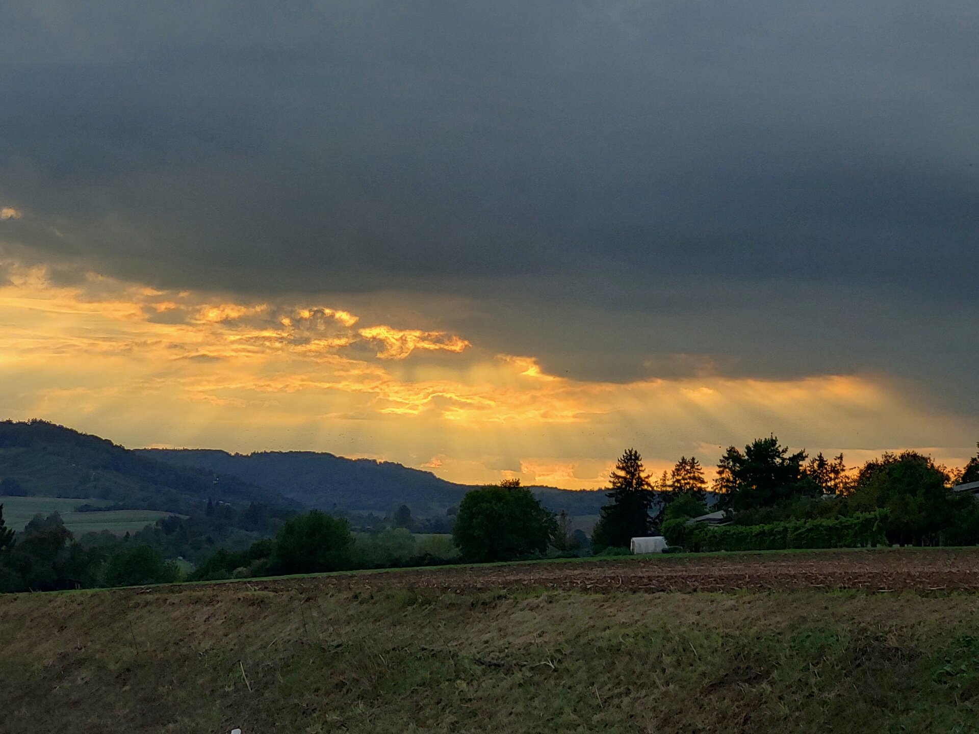 20250927_182629.jpg