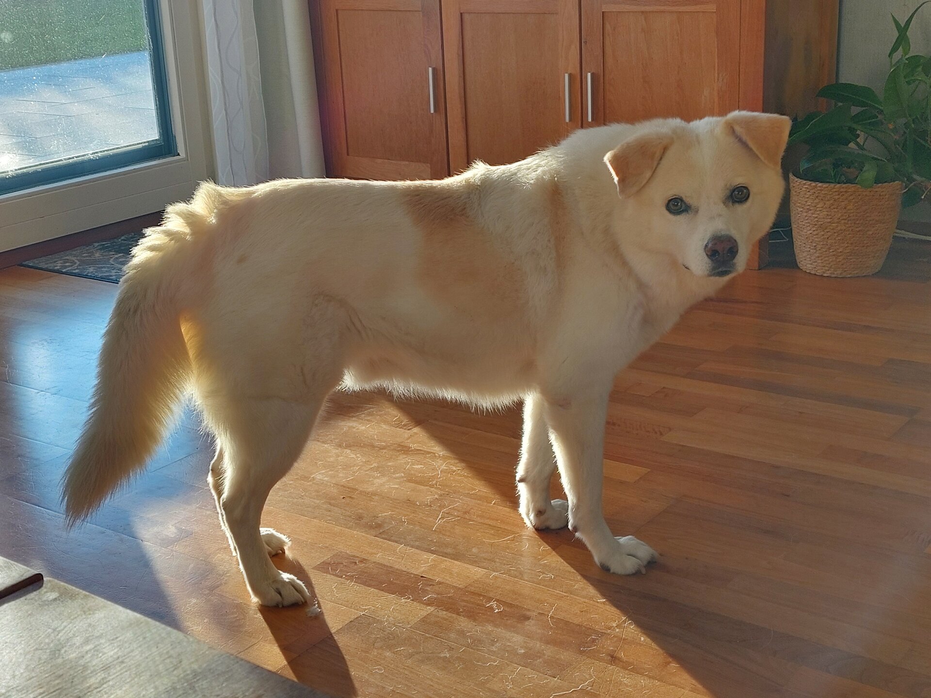 20251018_173709.jpg