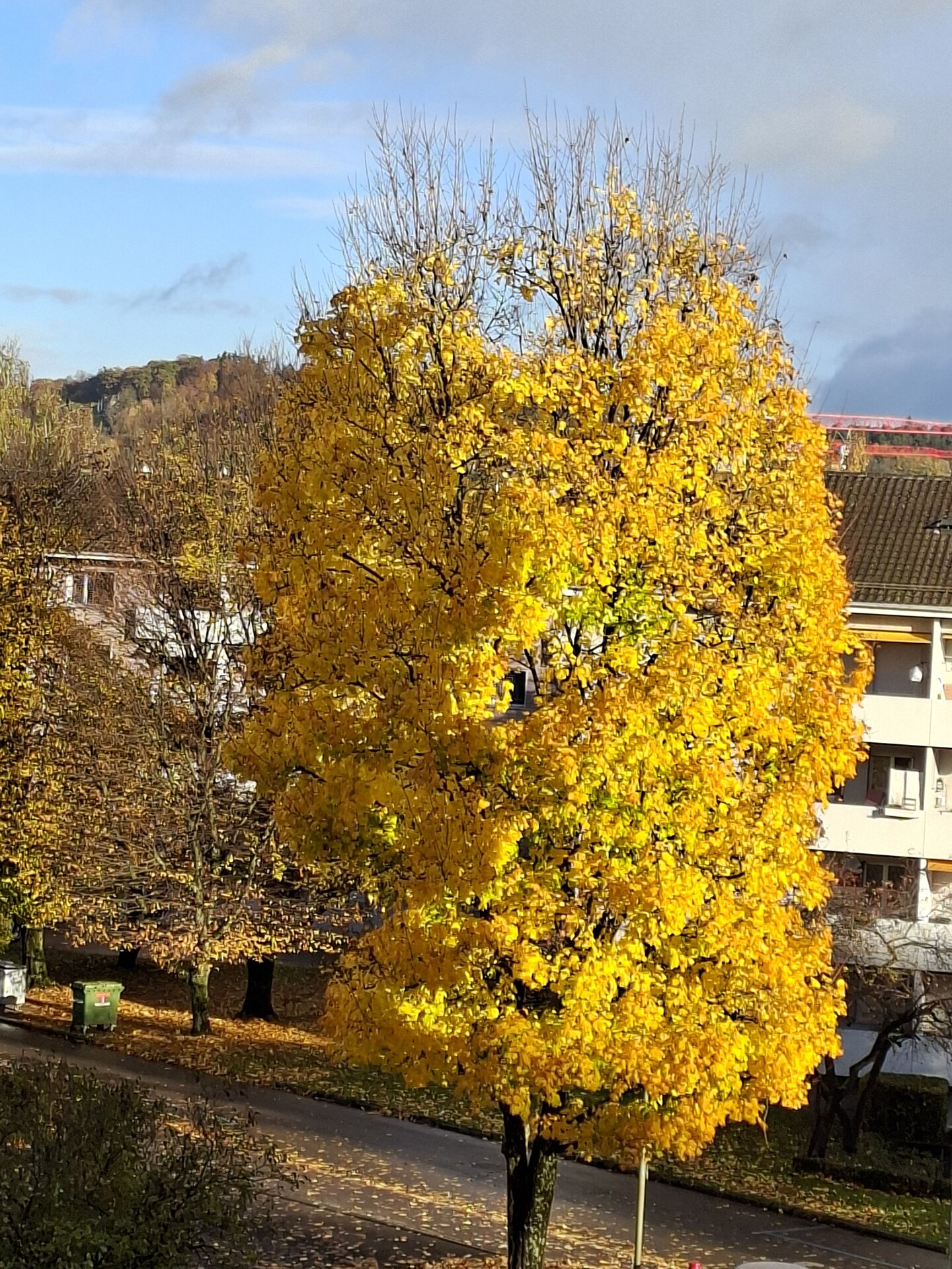 20251024_092615.jpg