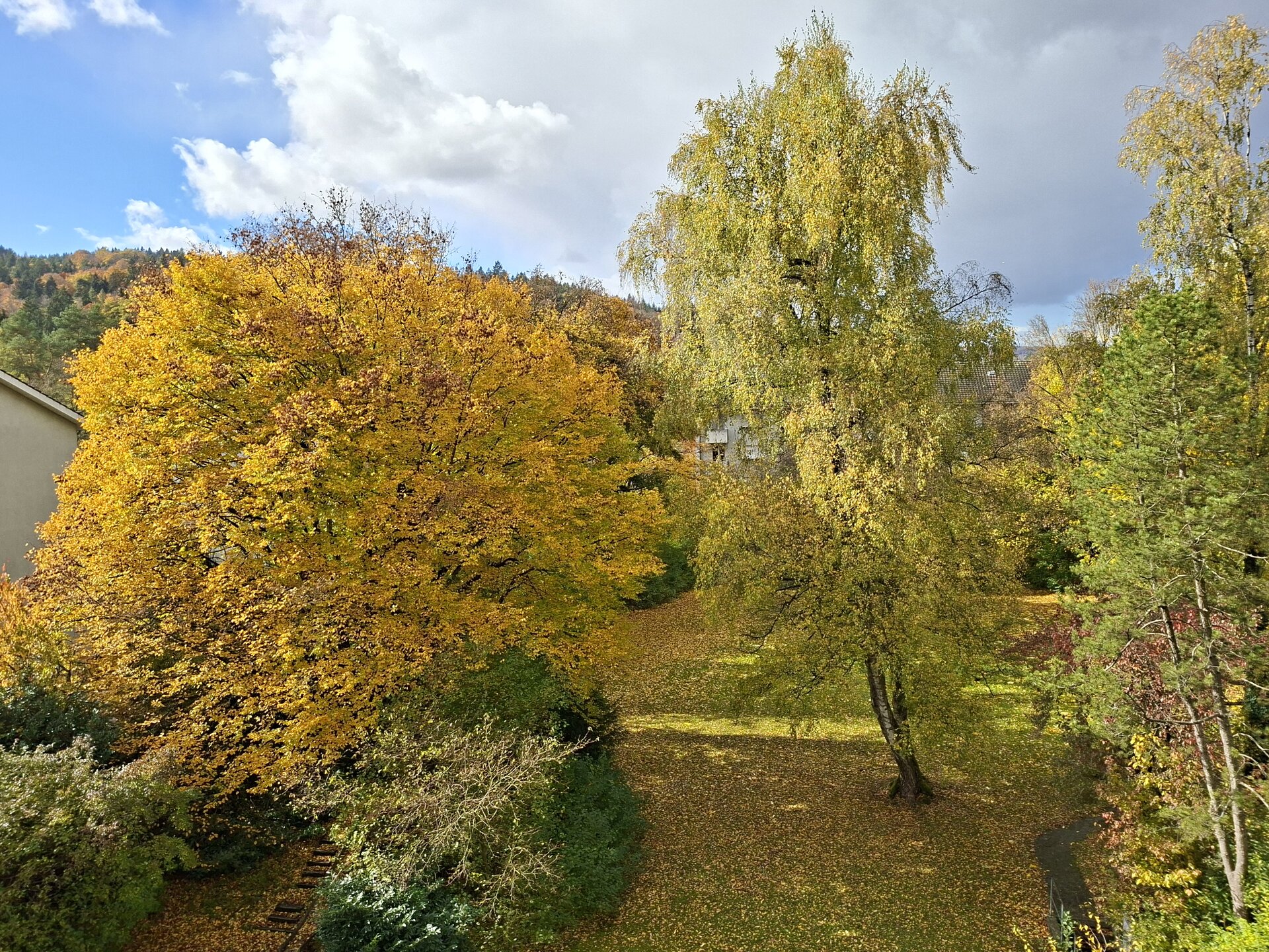 20251024_130957.jpg