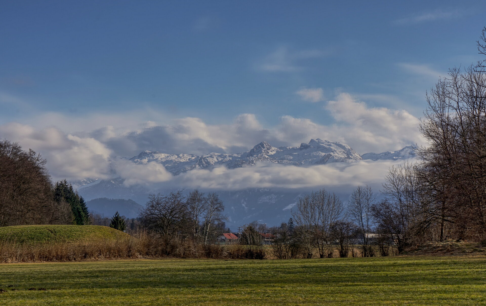 2026-02-07 14-47-18.JPG