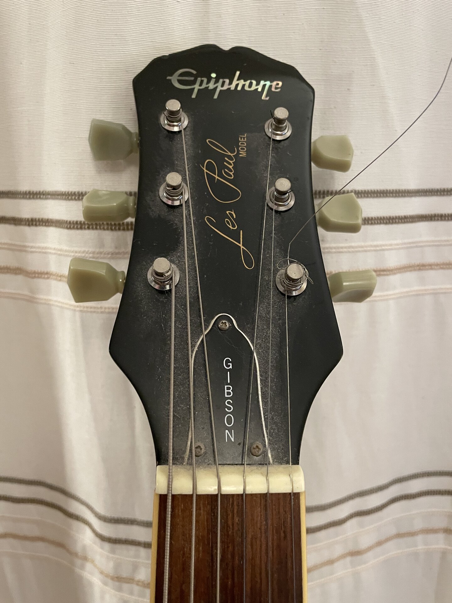 2026-02-22 14-44-44 IMG_3565.JPG