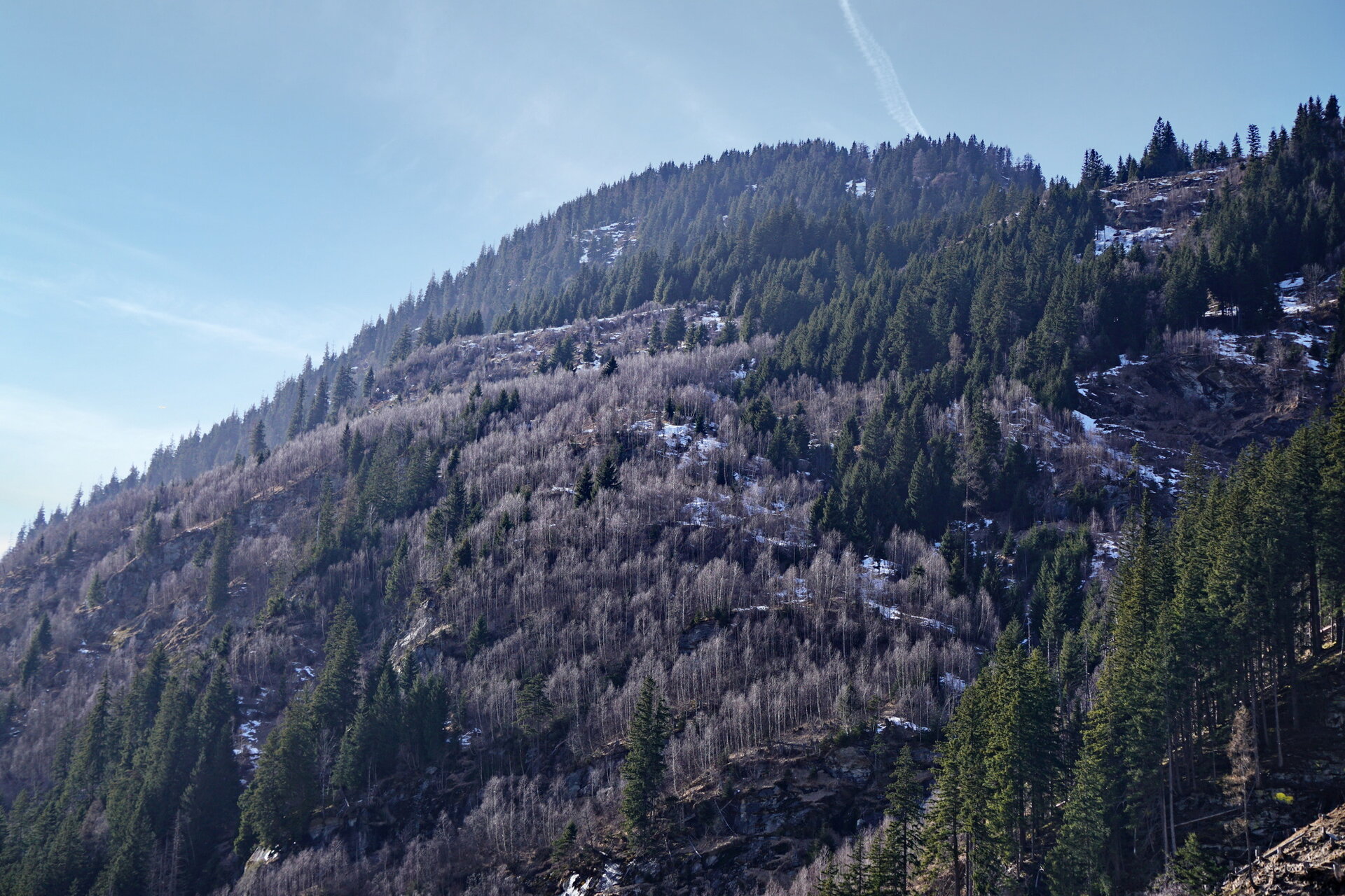 2026-03-07 14-20-39.JPG