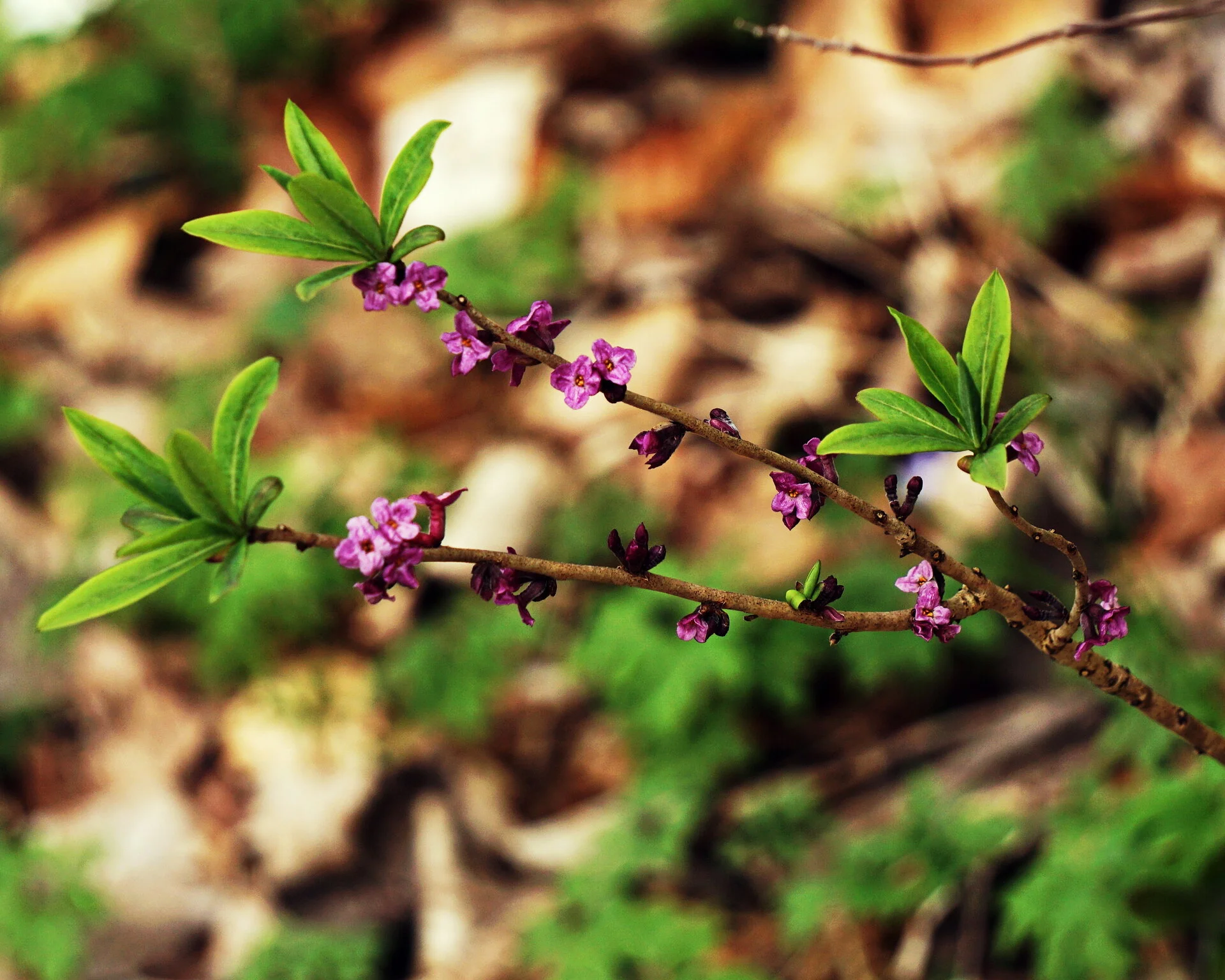 2026-04-12 12-14-41.JPG