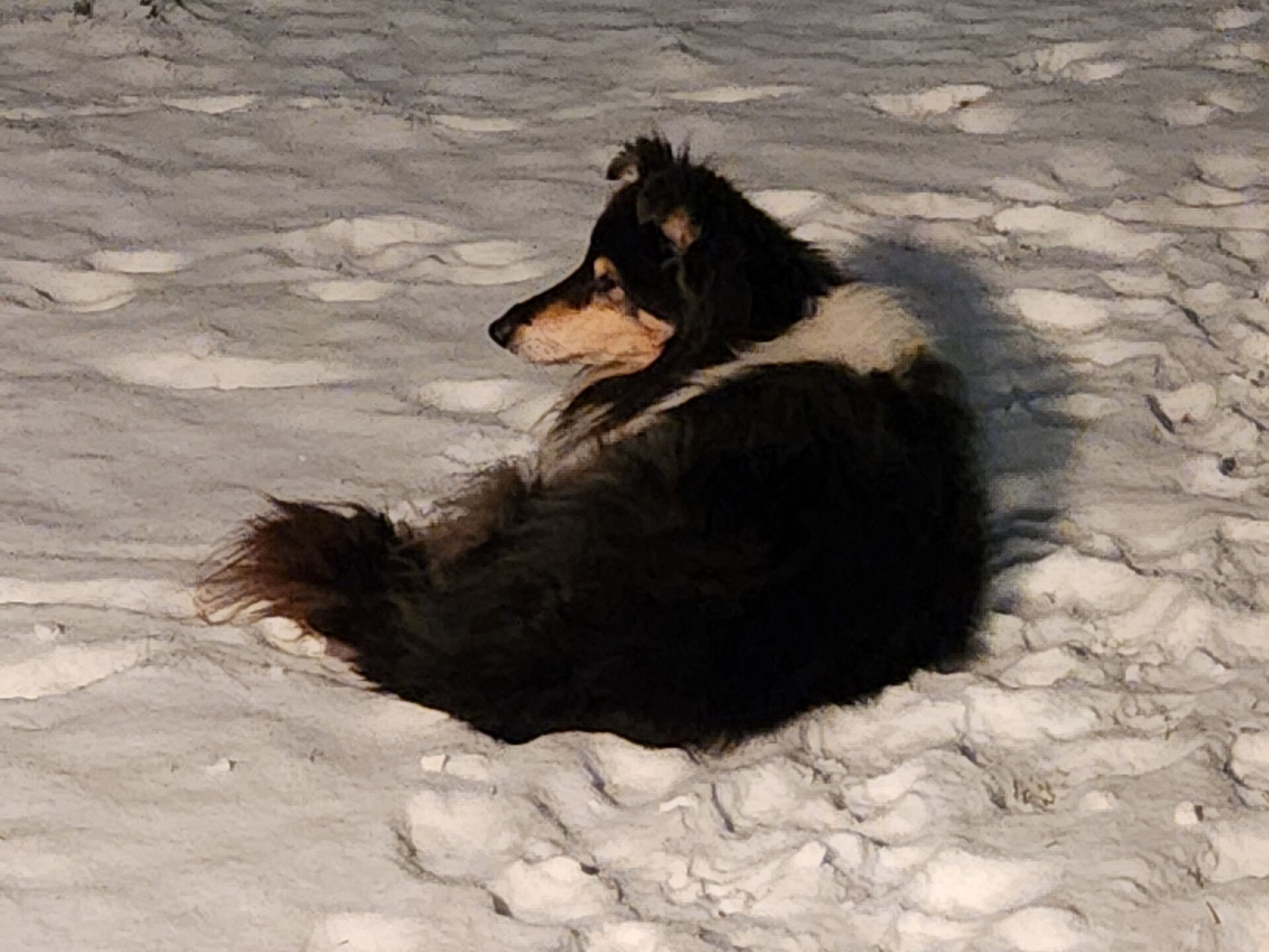 20260103_224605 50.jpg